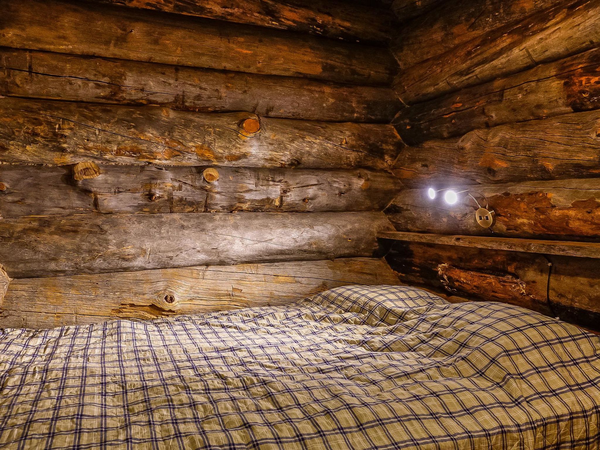 Photo of Sallanhelmi c2