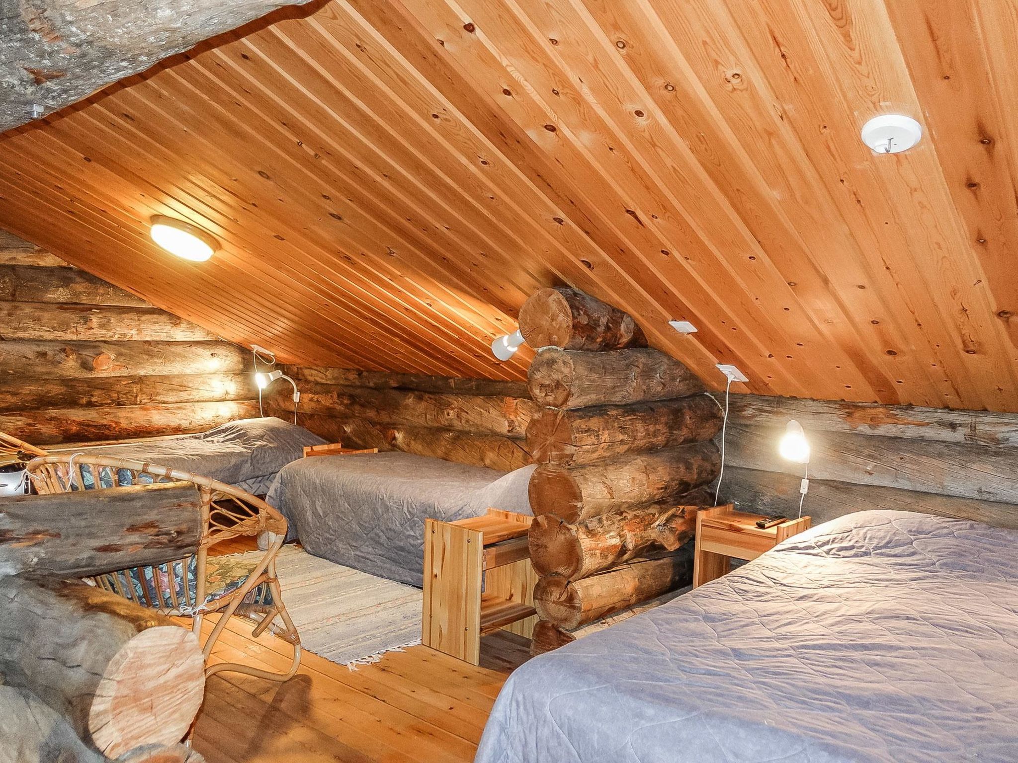 Photo of Sallanhelmi c1