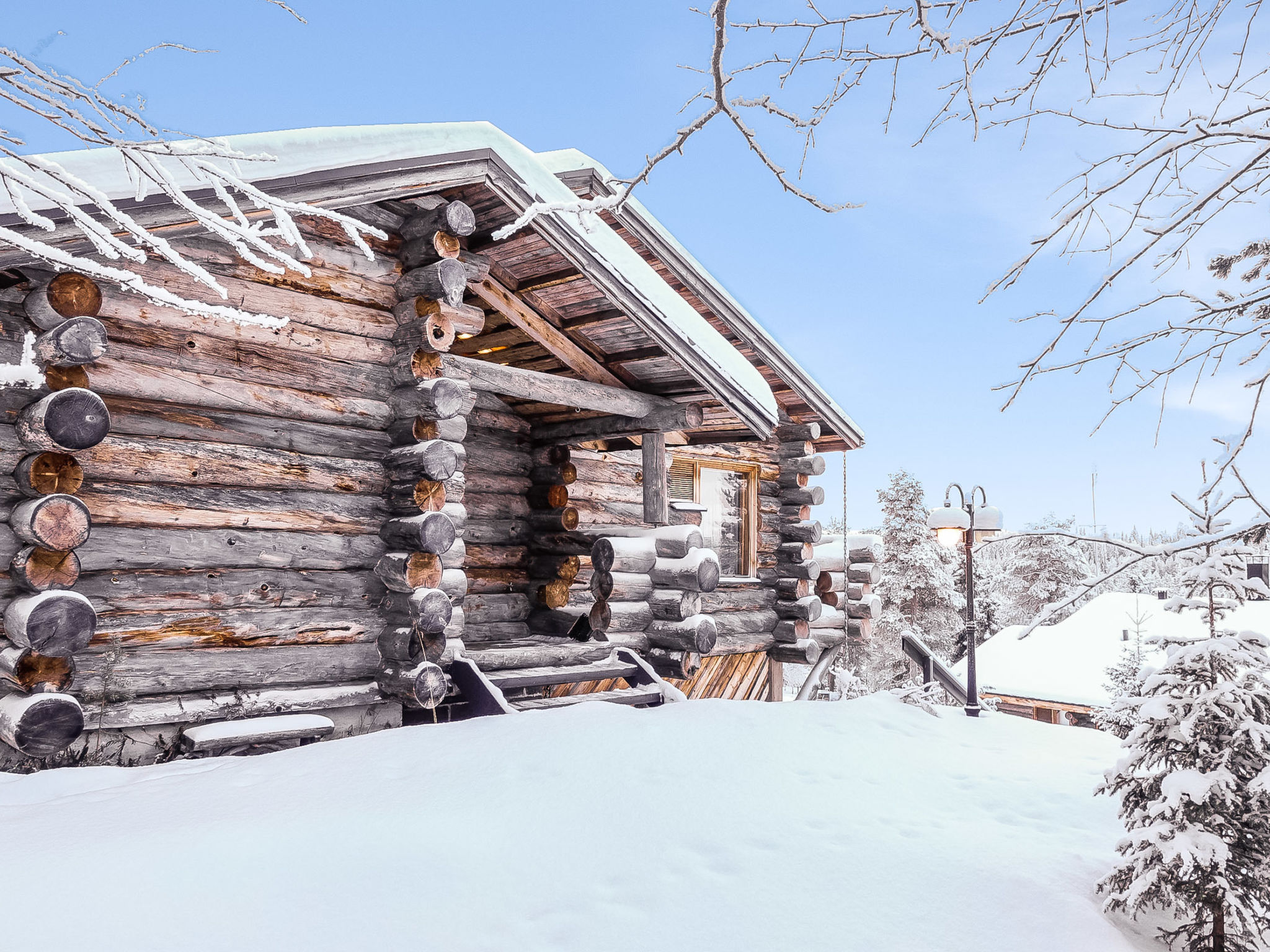Photo of Sallanhelmi c1