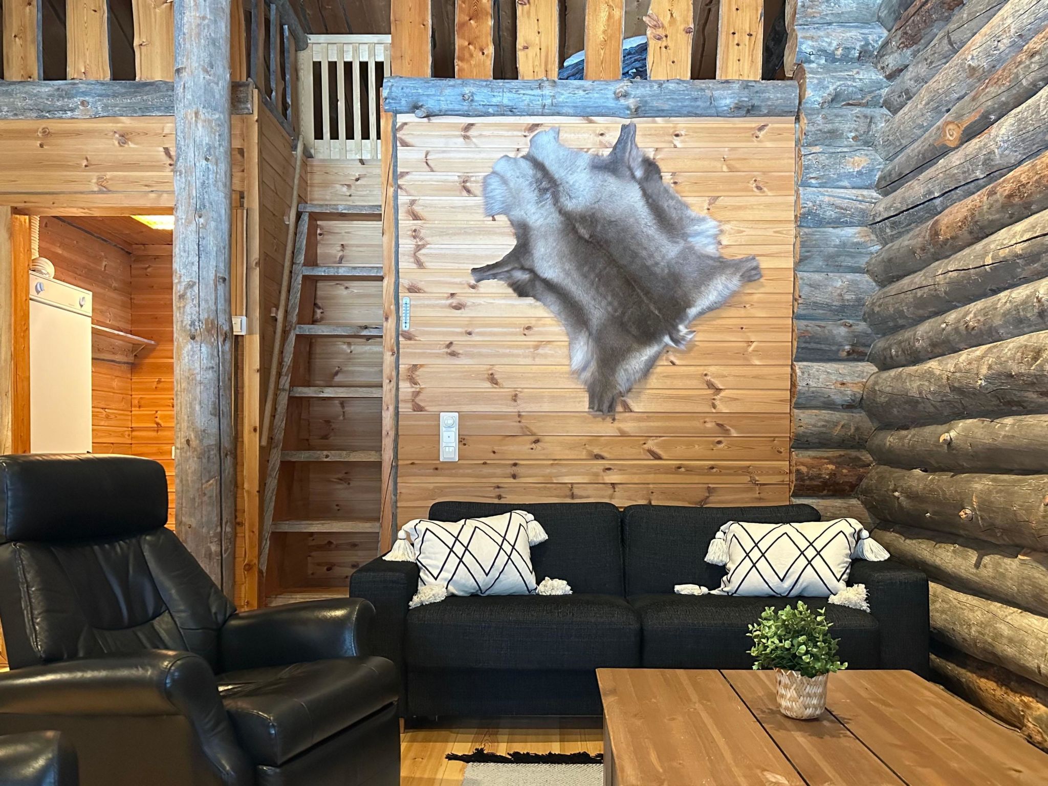 Photo of Sallan savu a