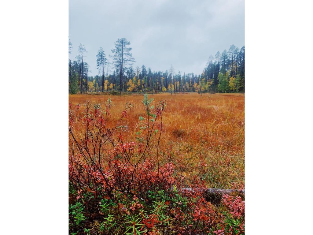 Vakantiehuis Sallan lumous a