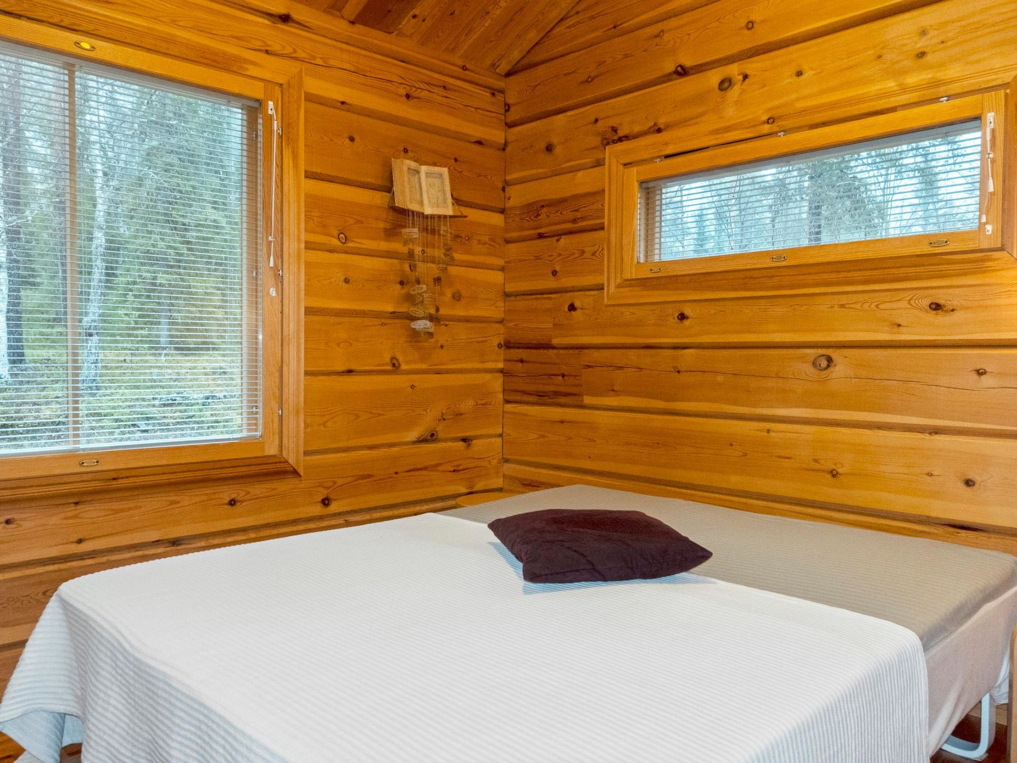 Photo of Sallan lumous b