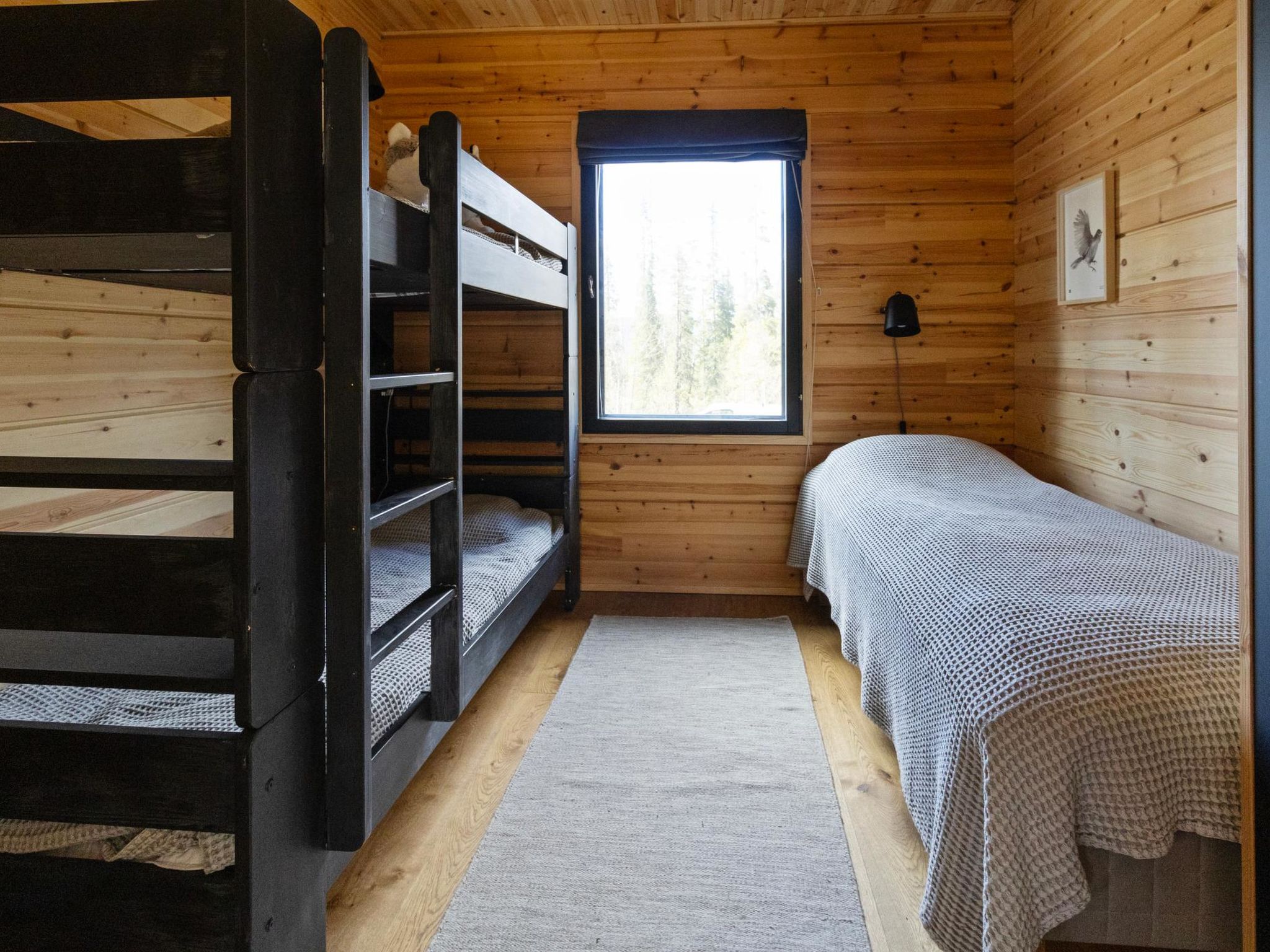 Photo of Sallan kuukkeli