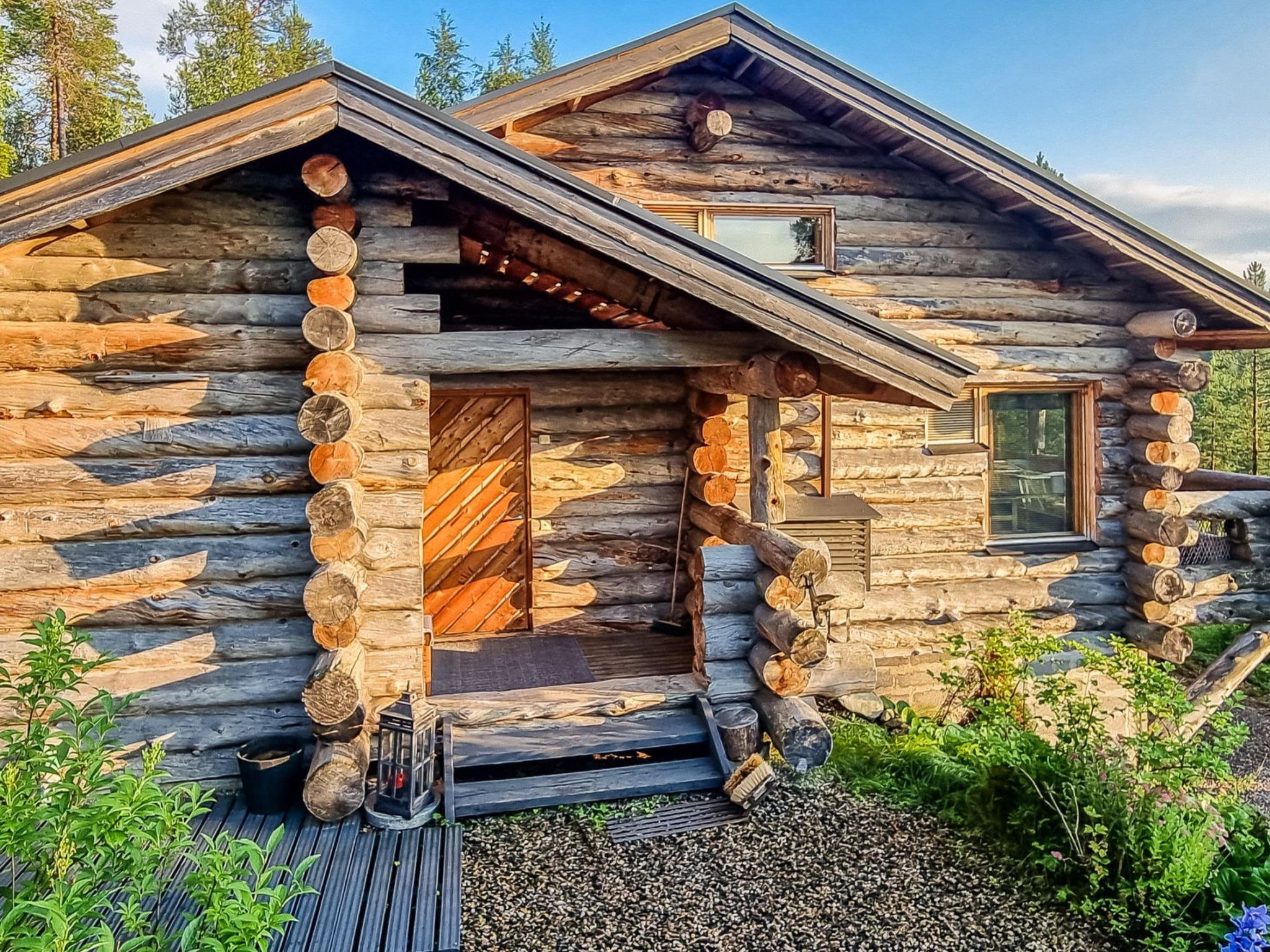 Photo of Sallanhelmi b1