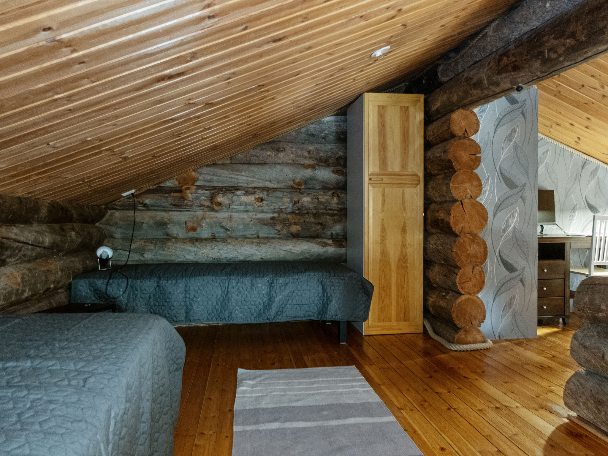 Photo of Sallanhelmi b1
