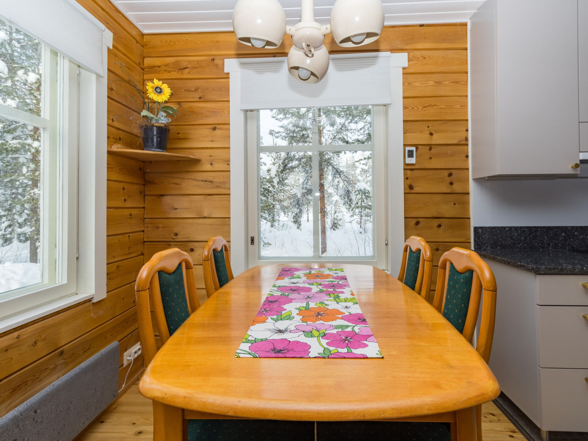 Photo of Sallanrinne a