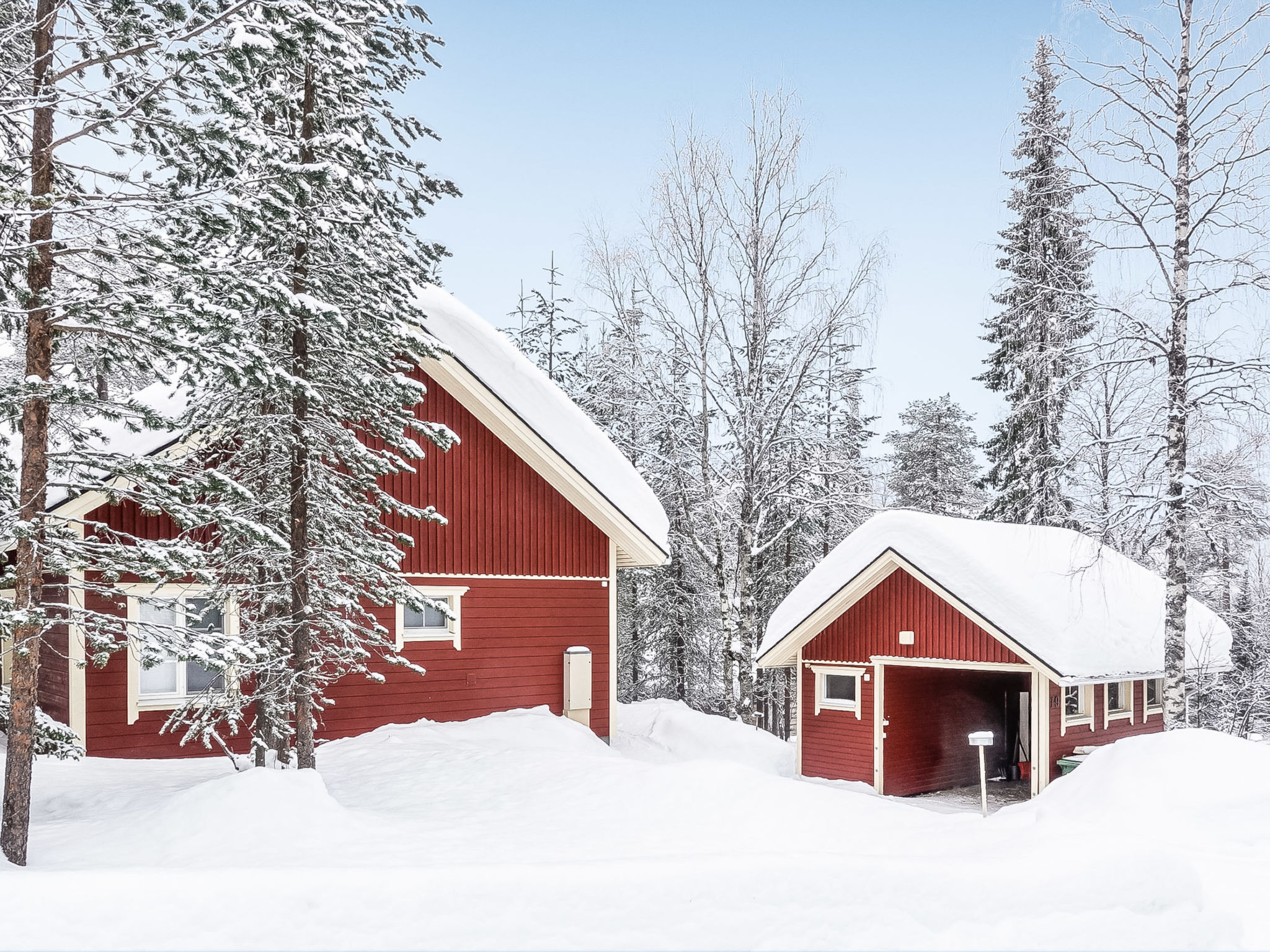 Käenkukka