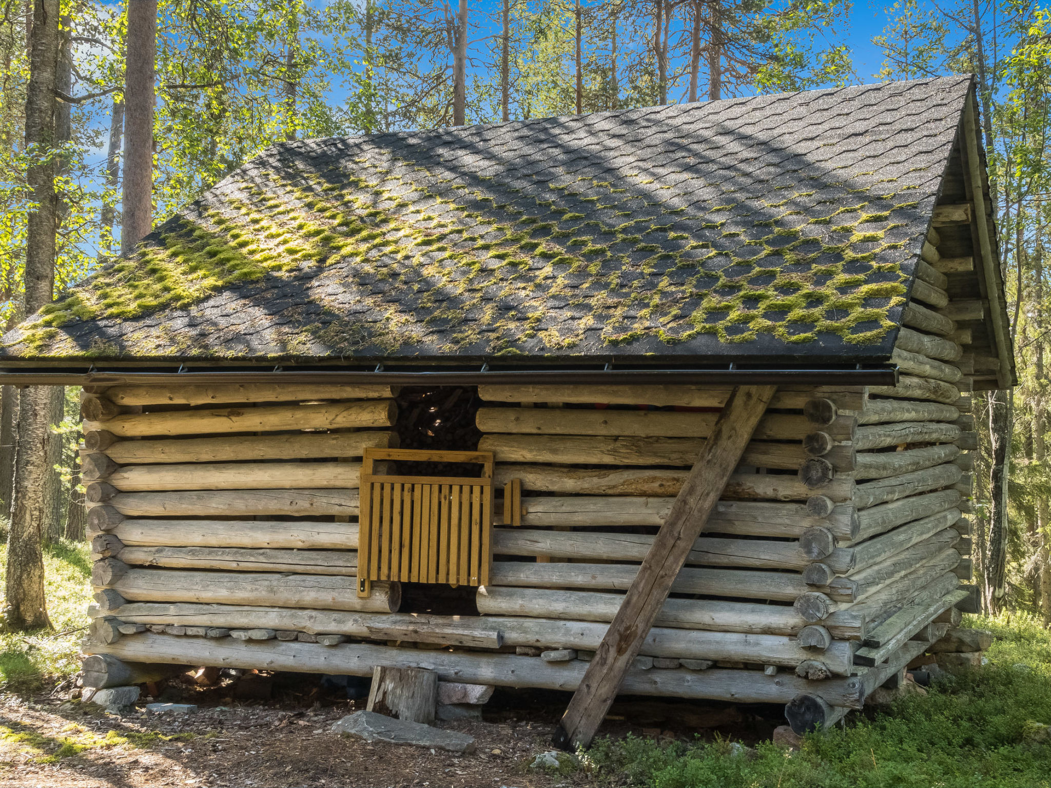 Ukkohermanni
