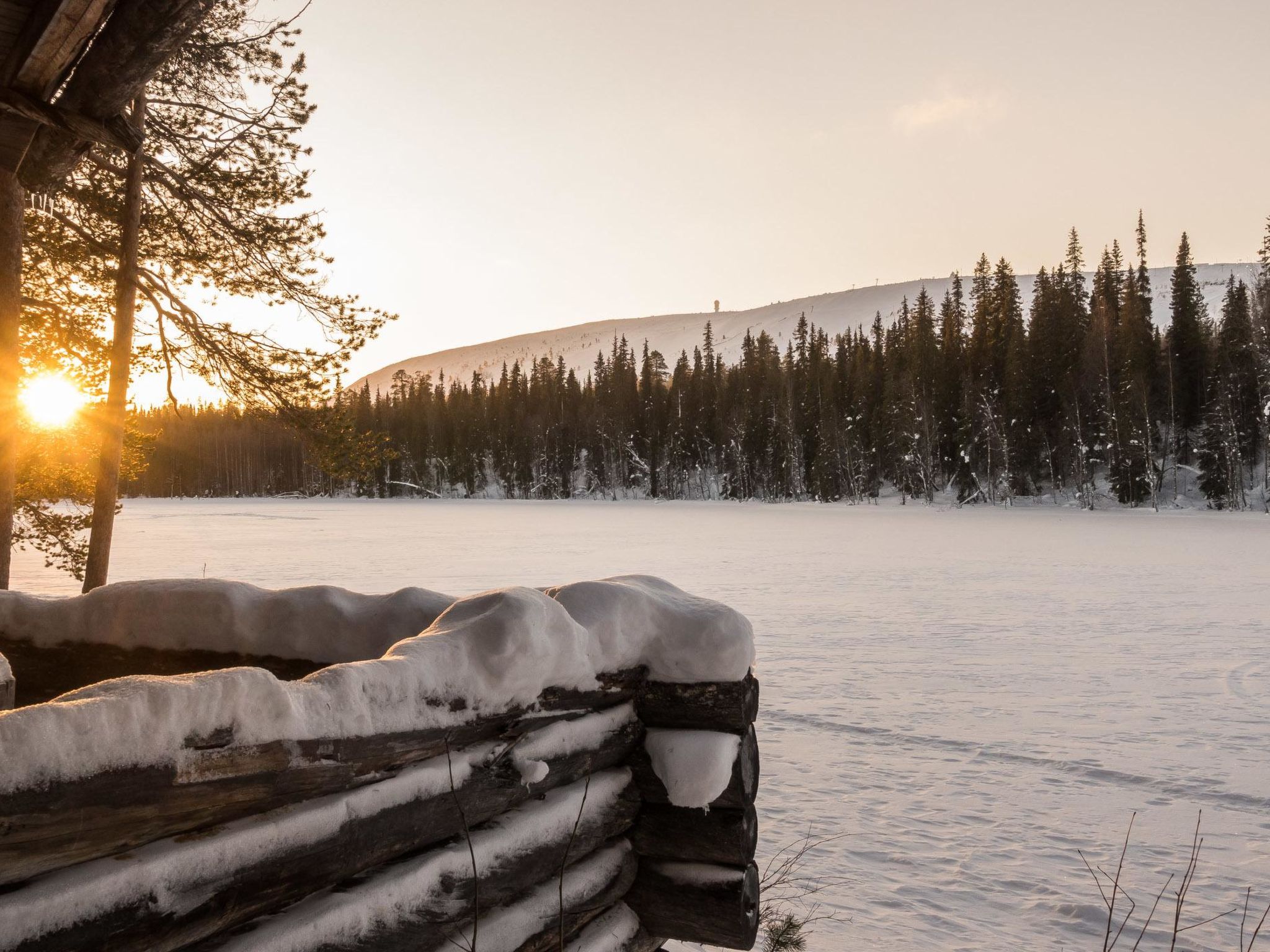 Metsä-luosto-Dedans