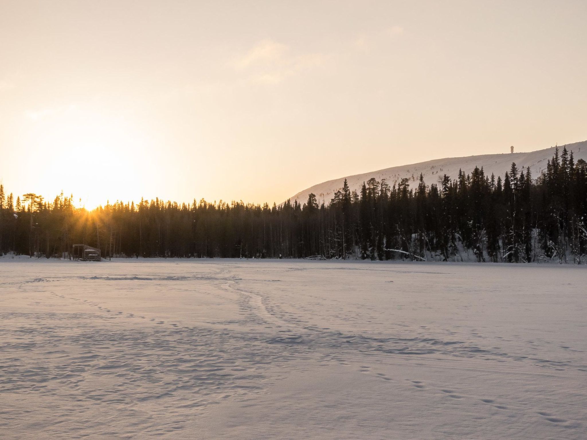 Metsä-luosto-Dedans