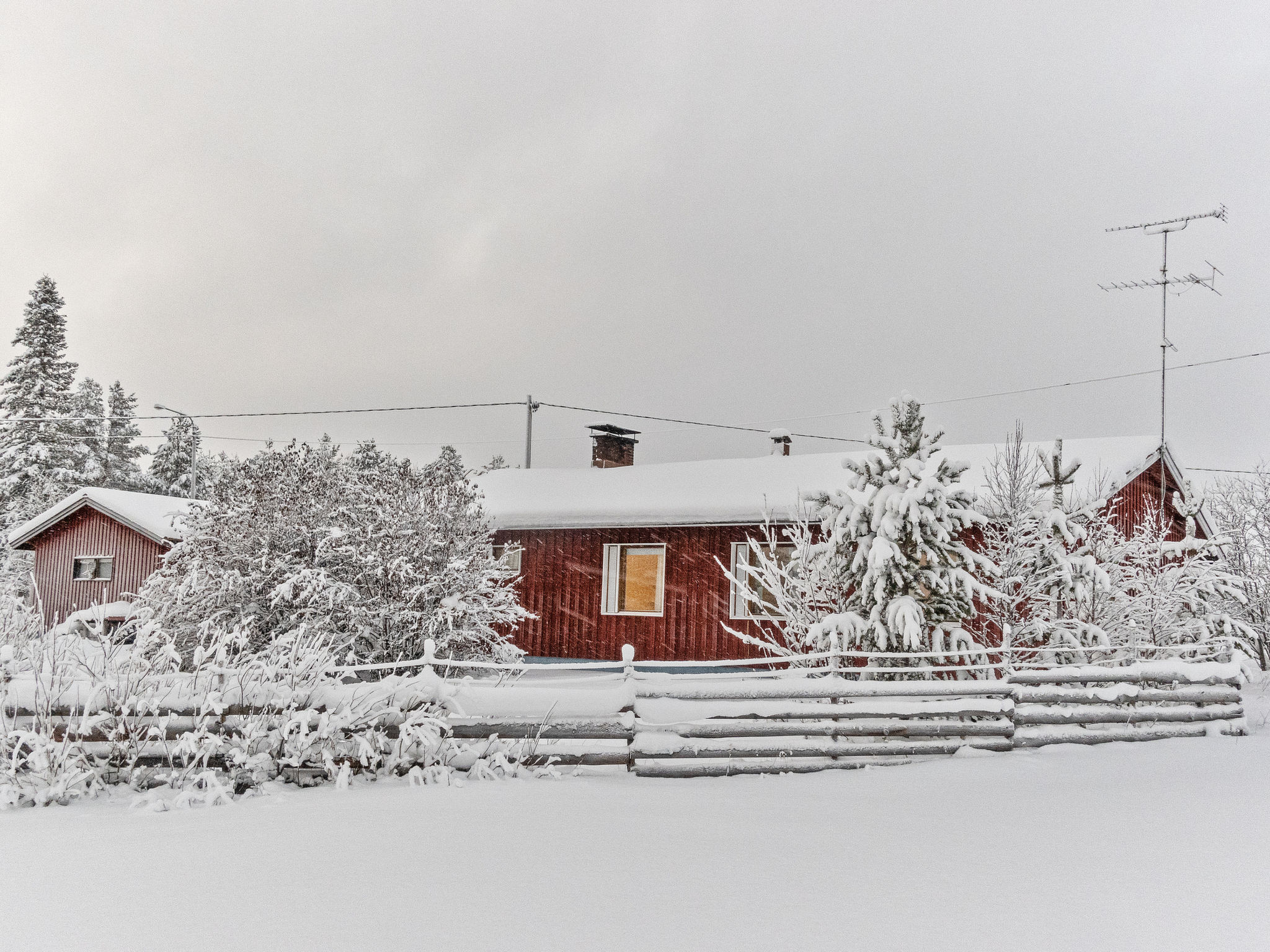 Hallanvaara