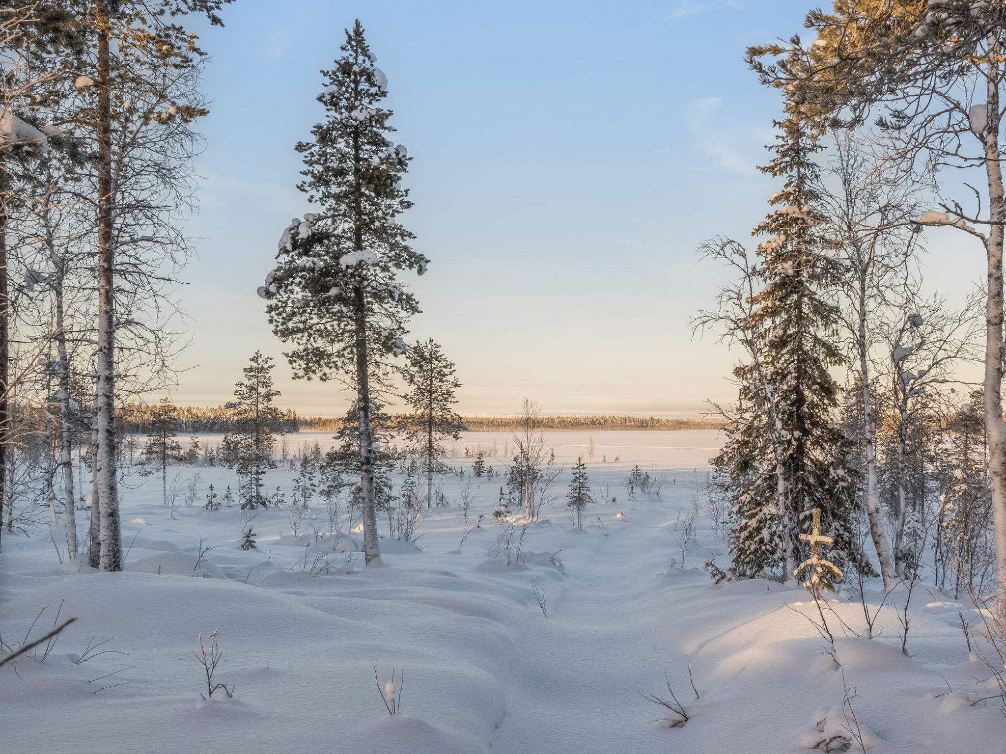 Puljunharju