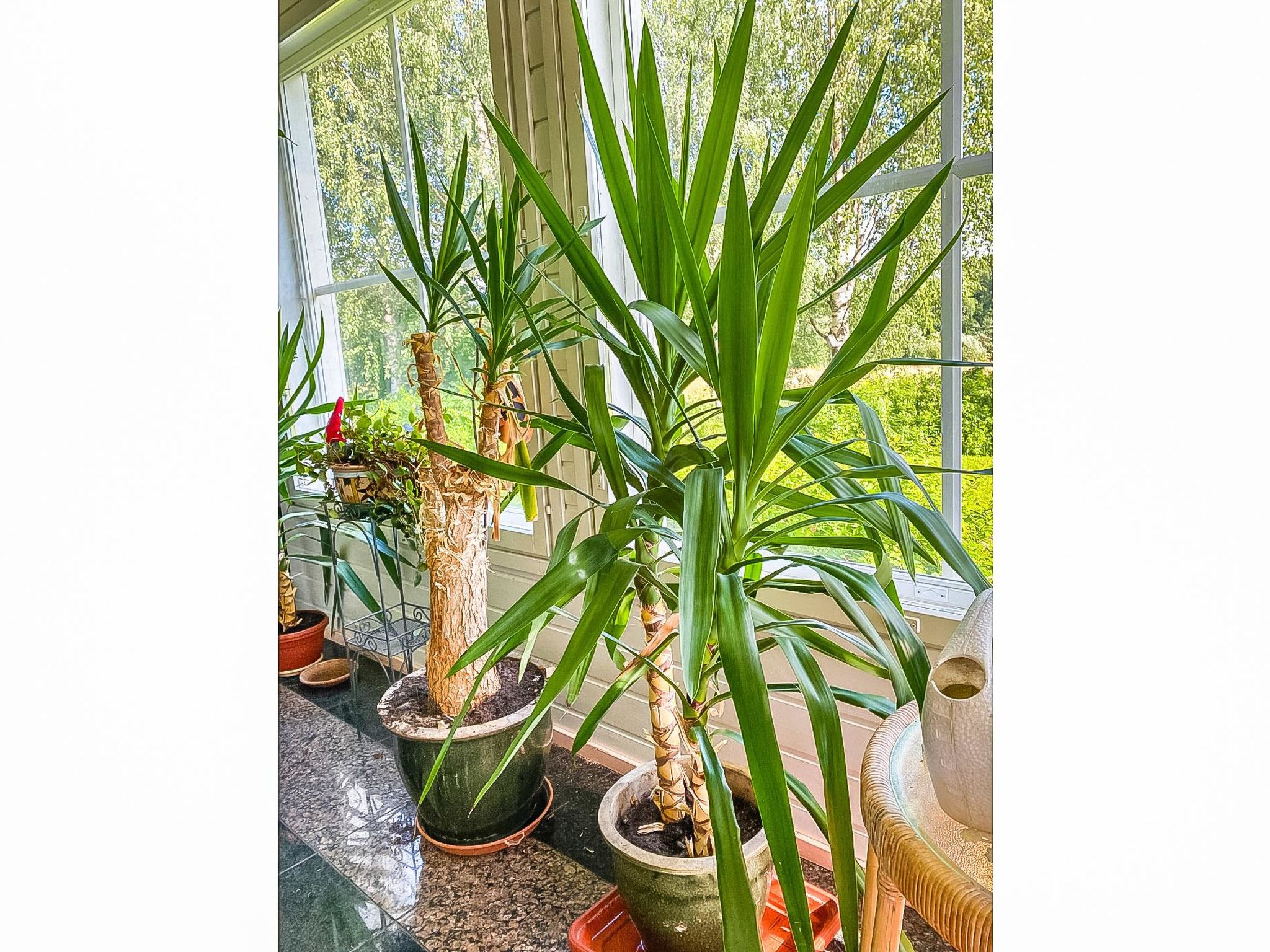 Grand villa kemijoki-Binnen