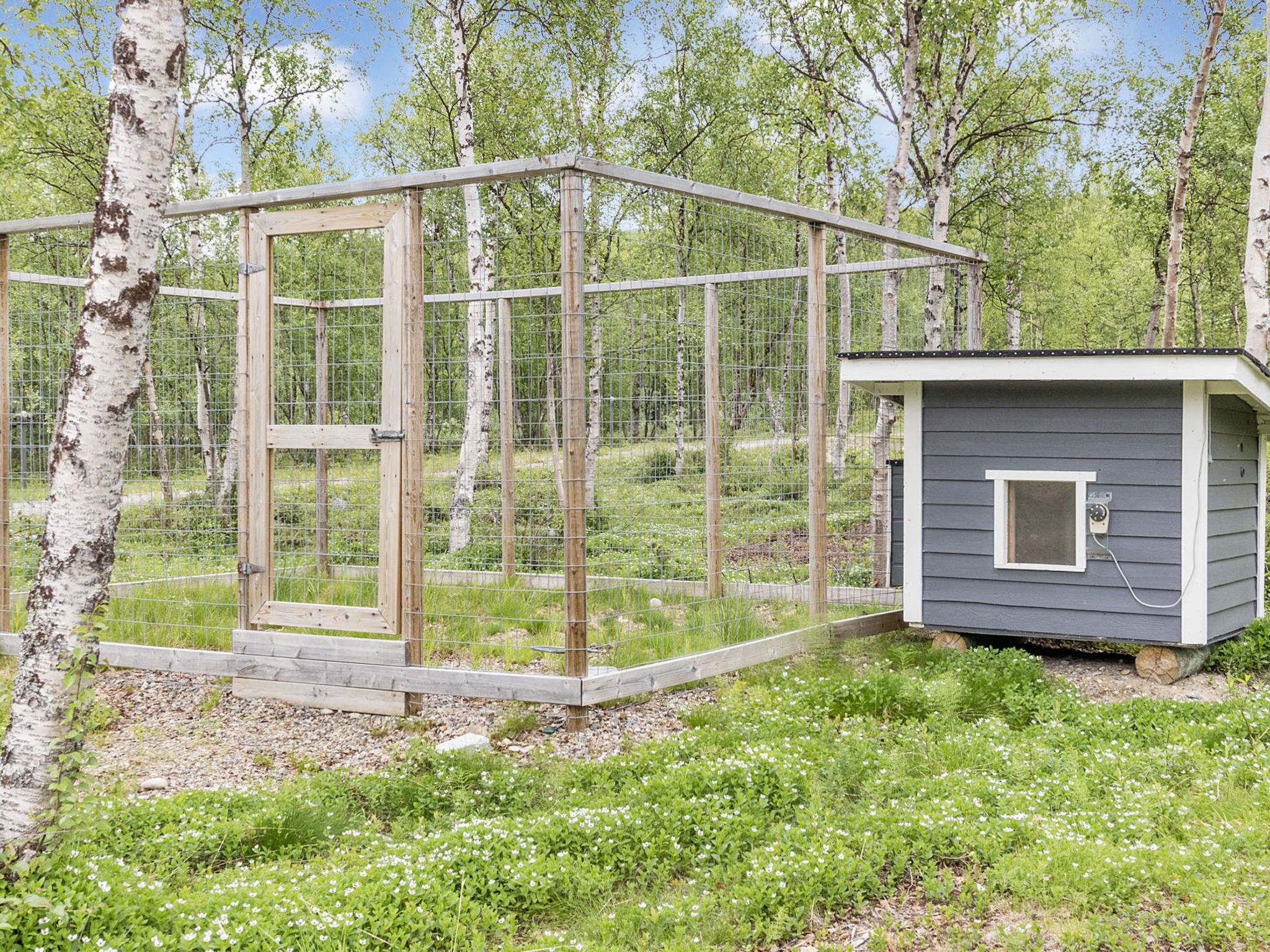 Mökki tenolla
