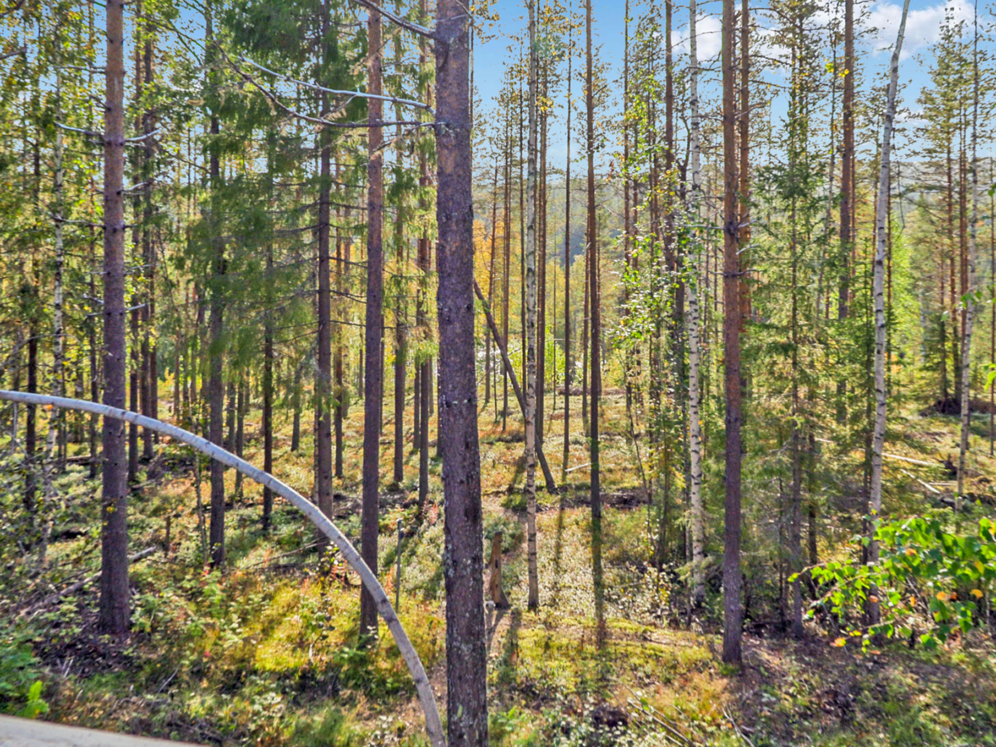 Lövgårdenin lohimaja