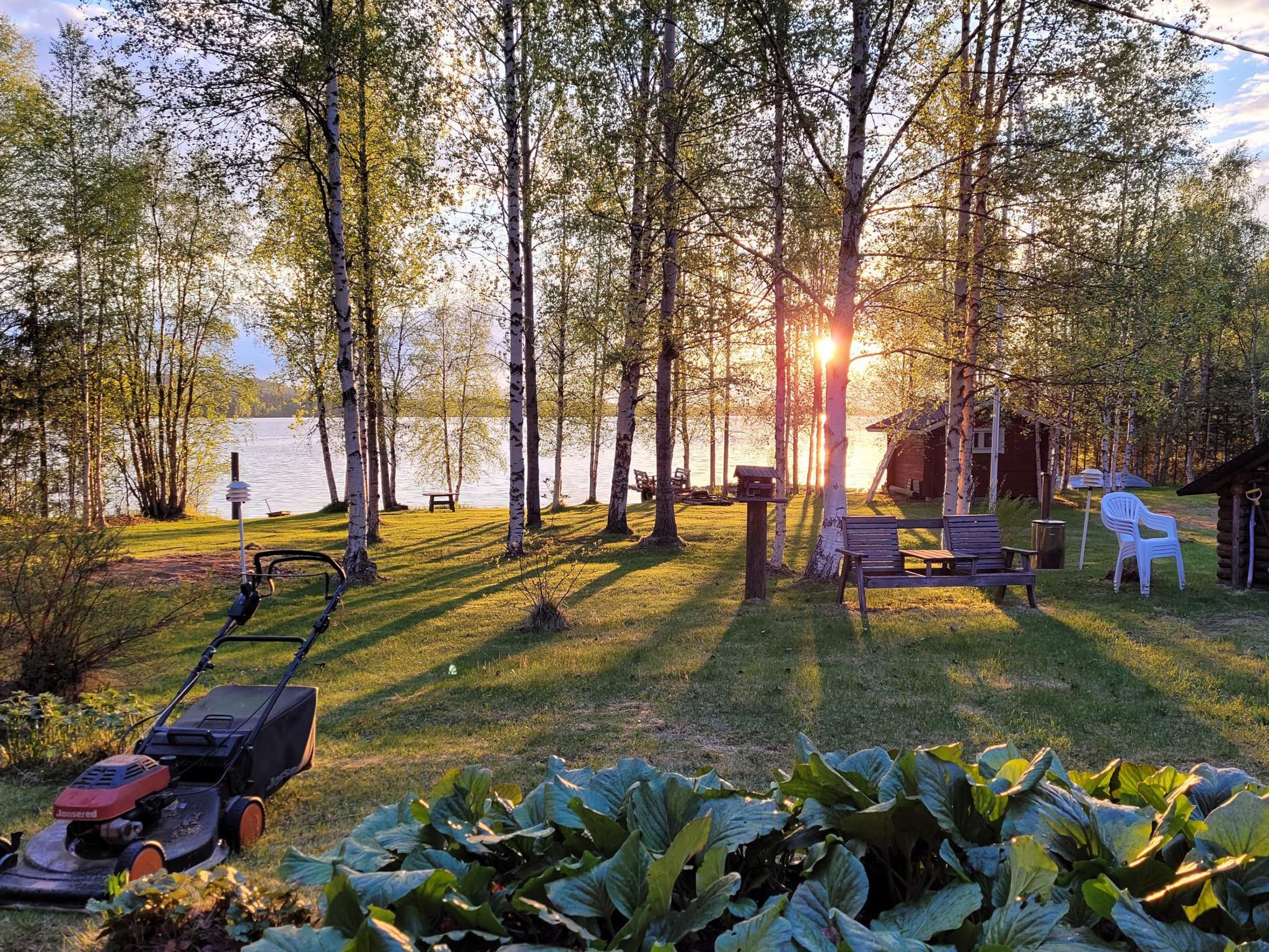 Koivulahden reinola-Dedans