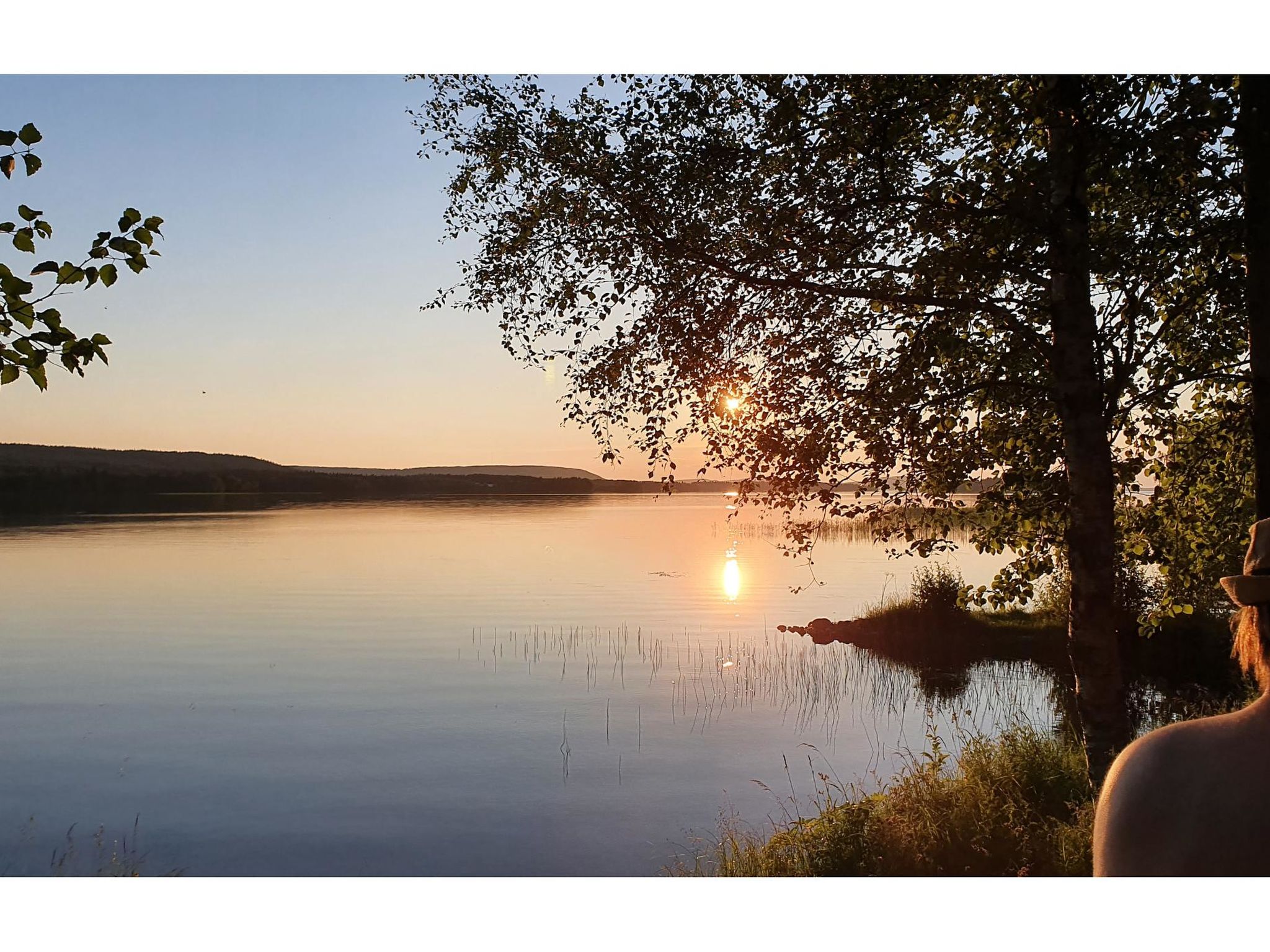 Koivulahden reinola-Dedans