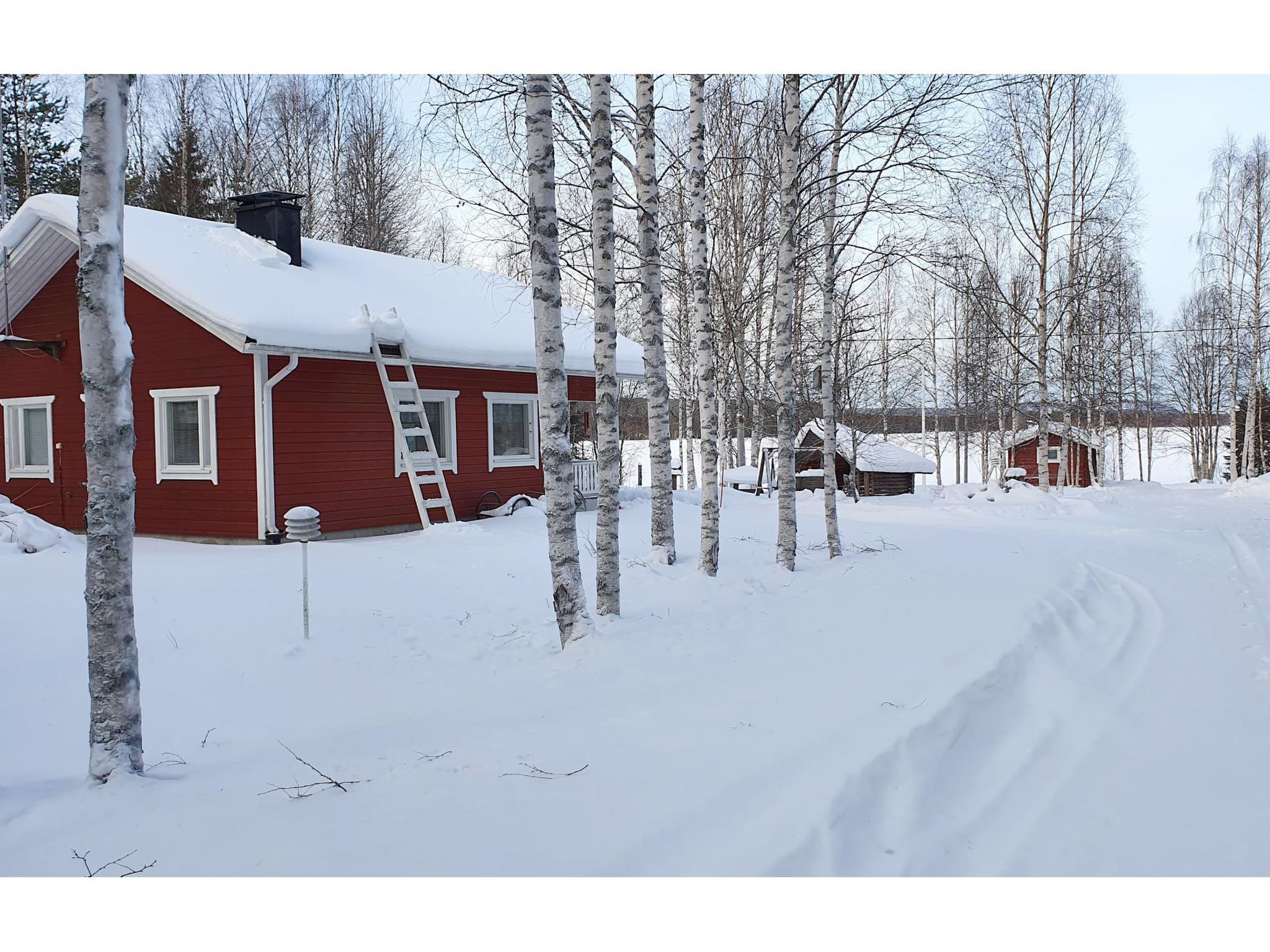 Koivulahden reinola-Dedans