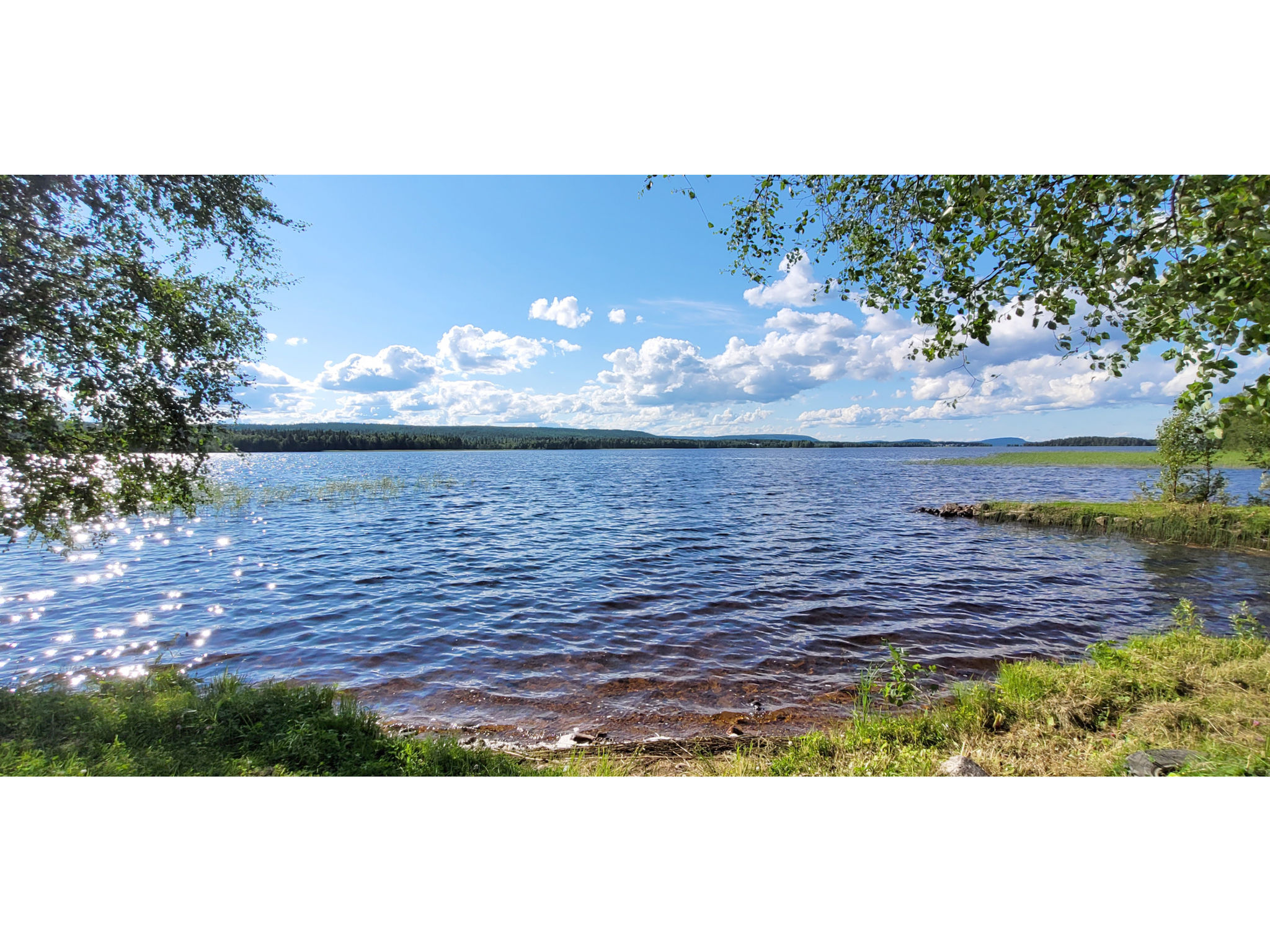 Koivulahden reinola - Binnen