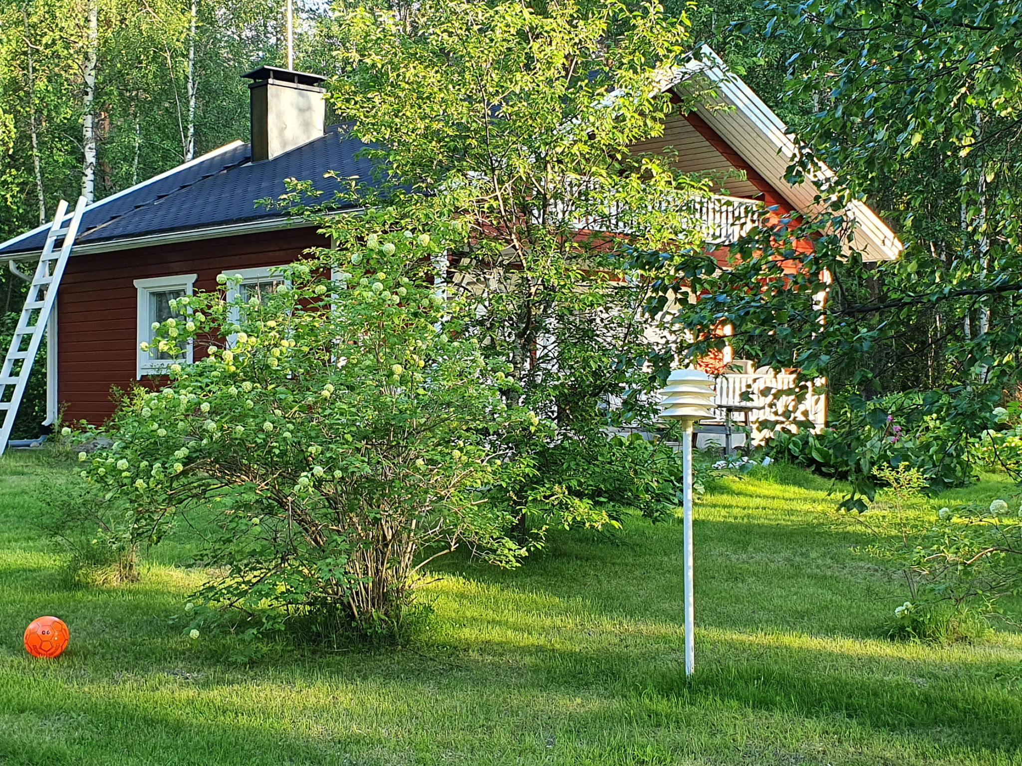 Koivulahden reinola - Binnen