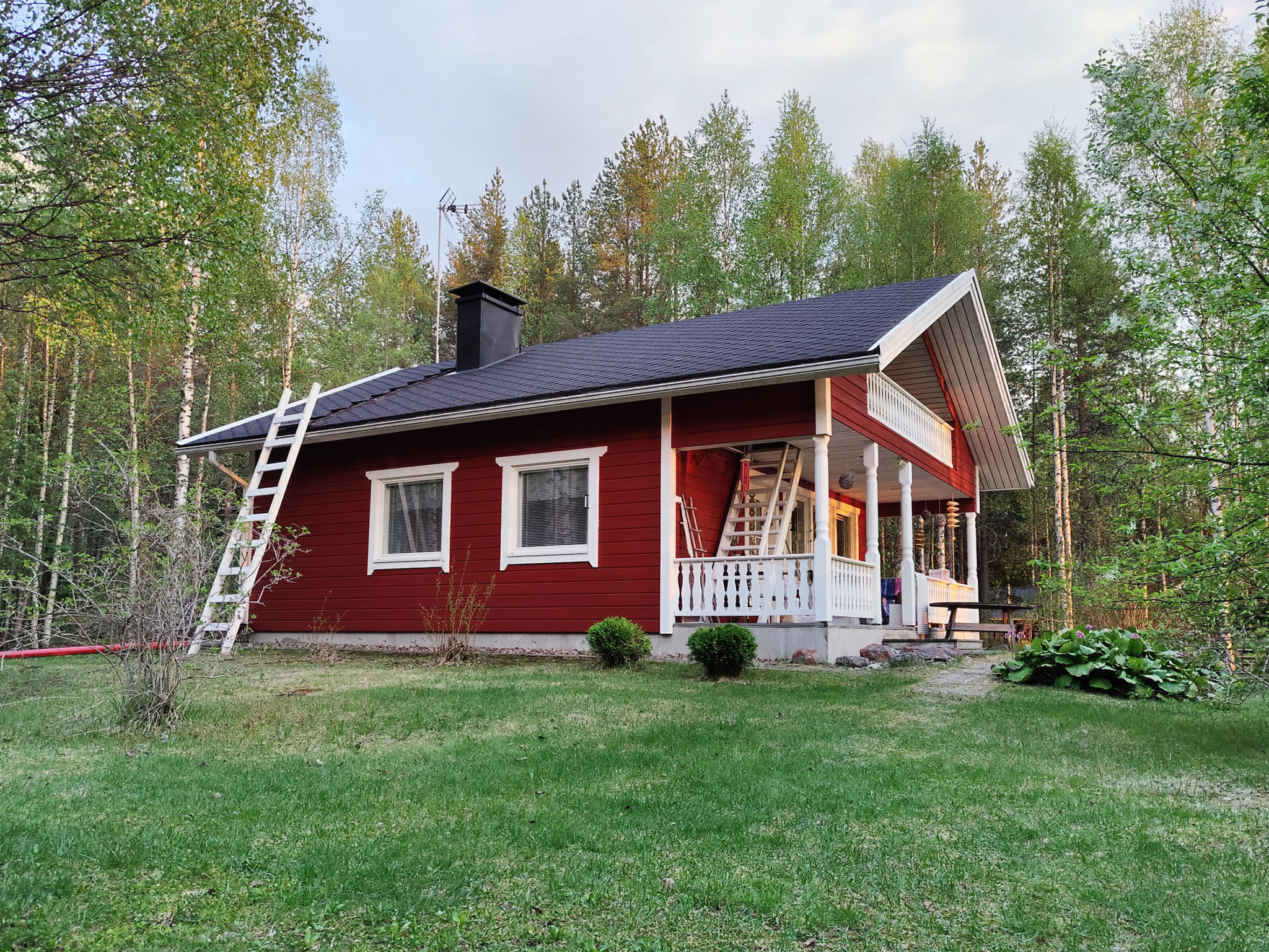 Koivulahden reinola