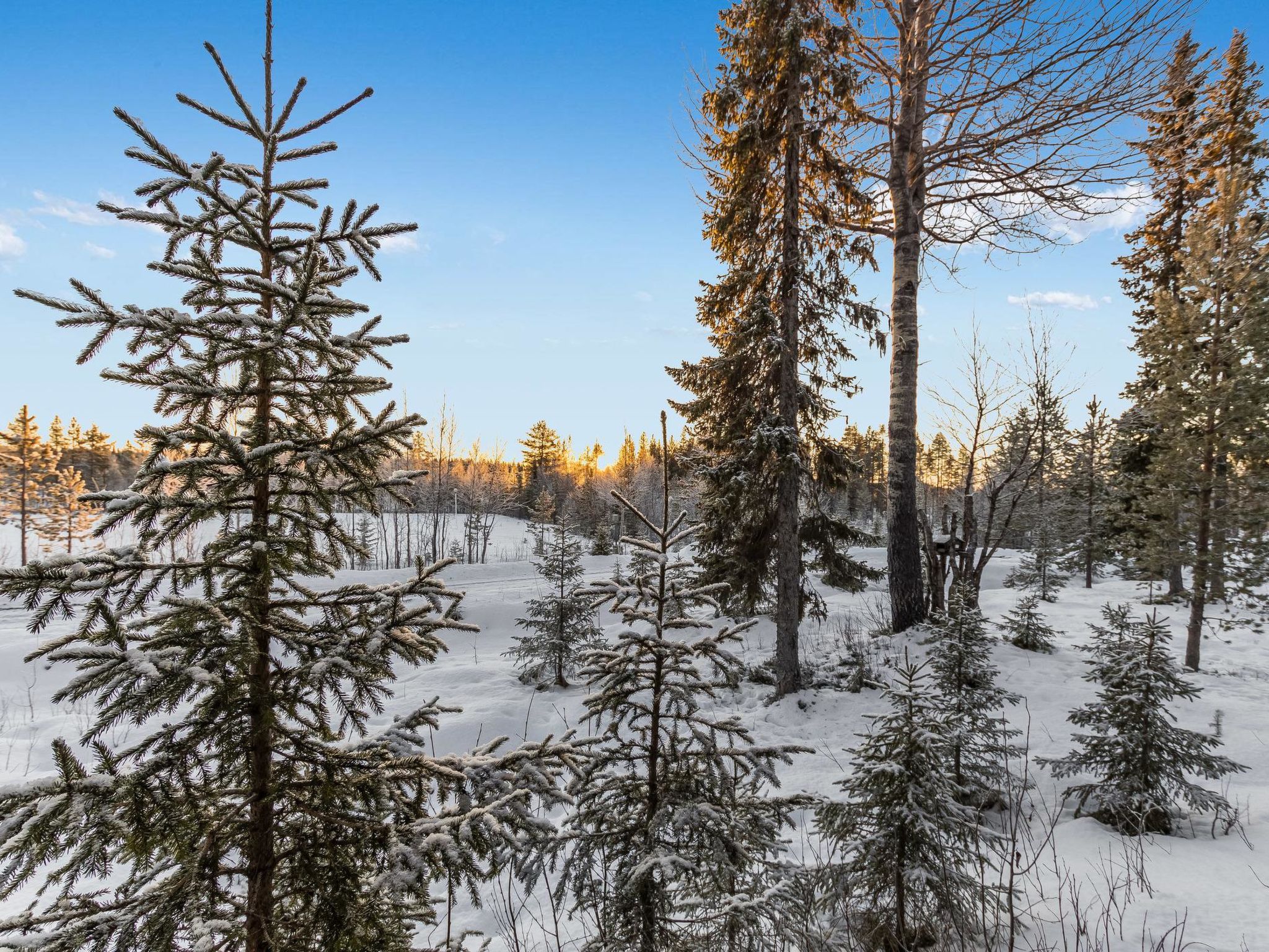 Tunturinvieri l1-Drinnen