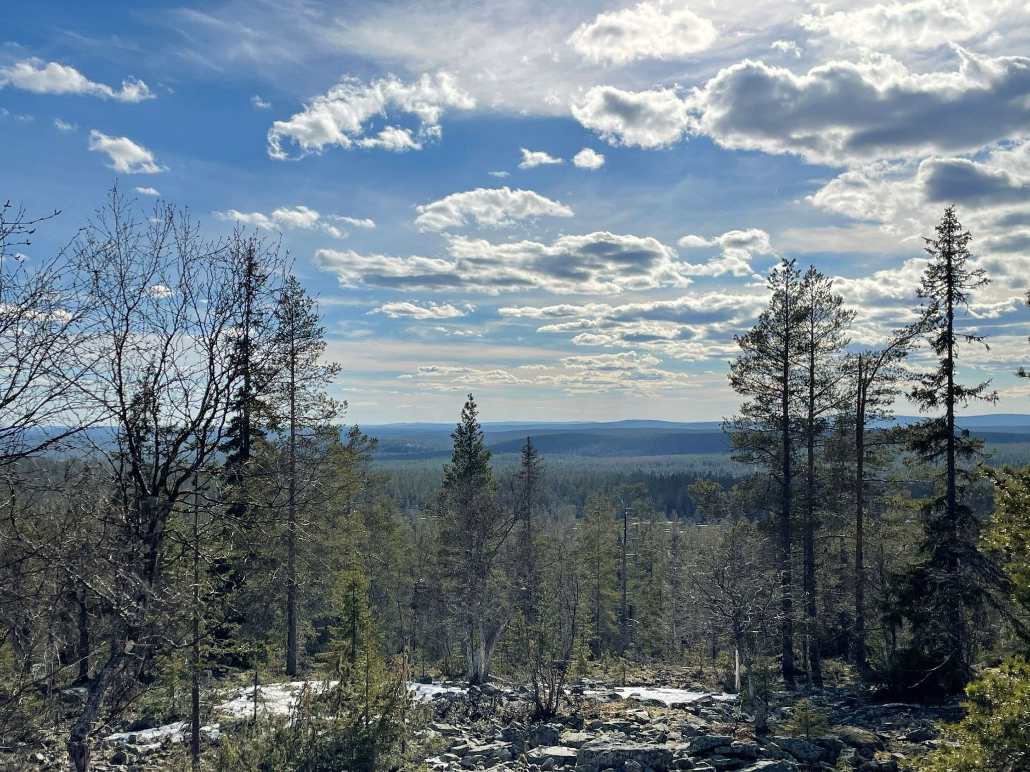Ylläsriekko / itätupa - Inside
