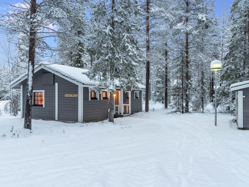 Vakantiehuis Senaattori 1 in Finland