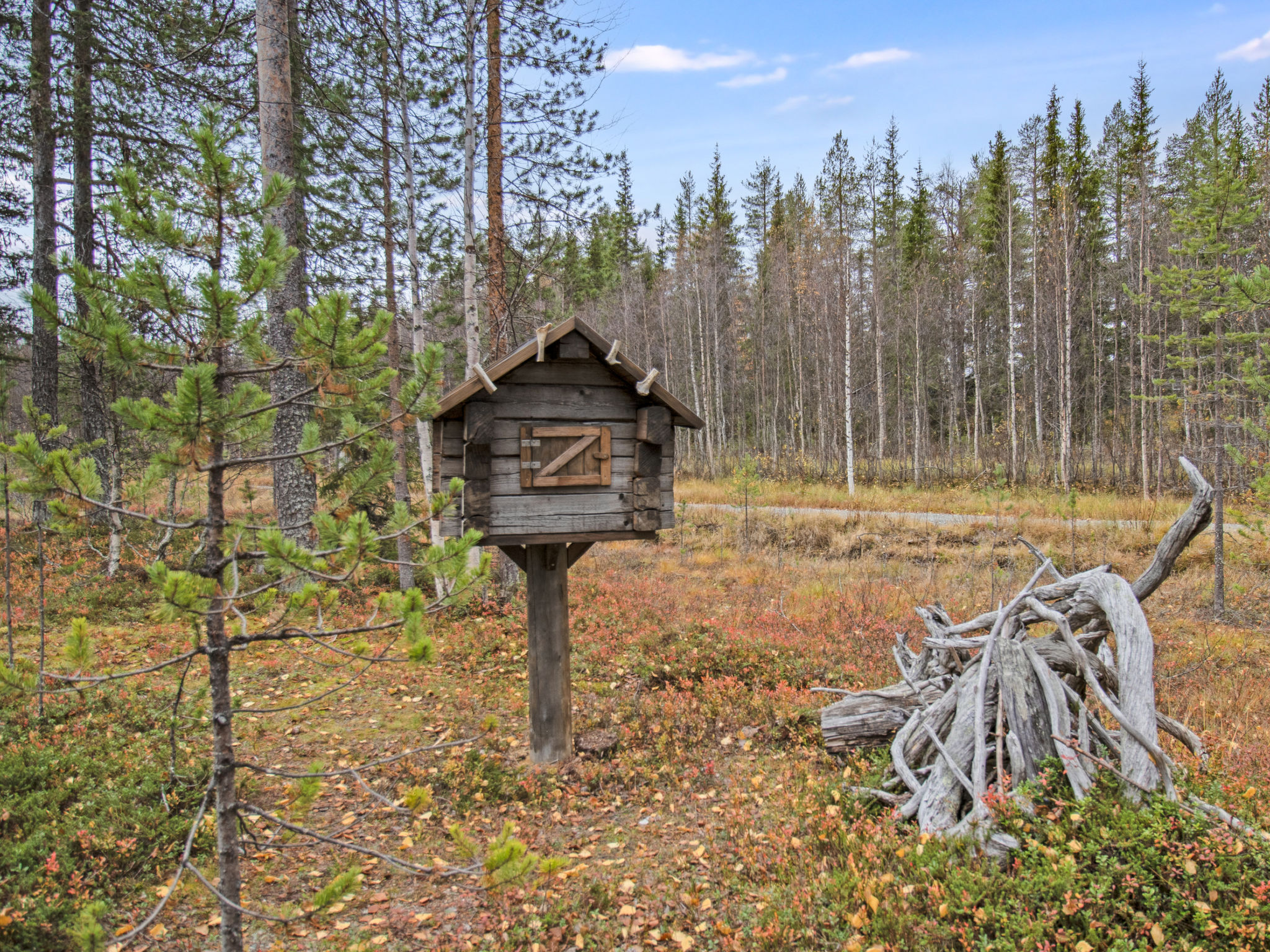 Tievankivi