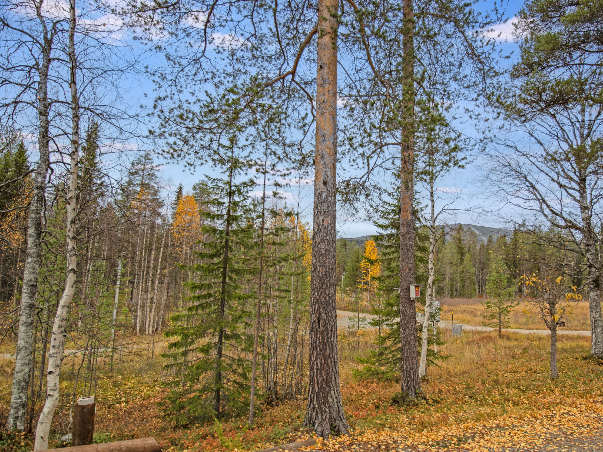 Tievankivi