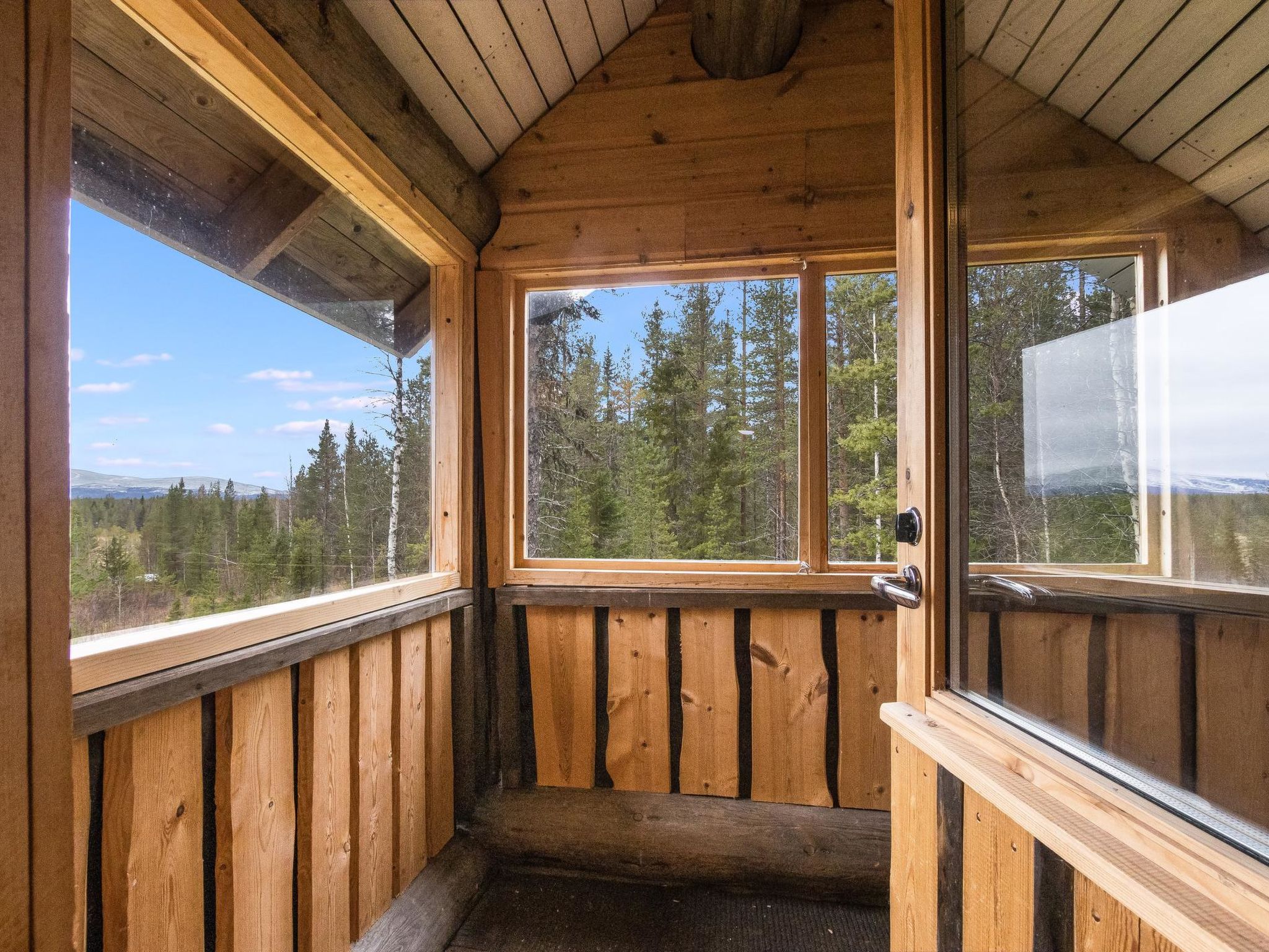 Tunturitähti, lainio-Dedans