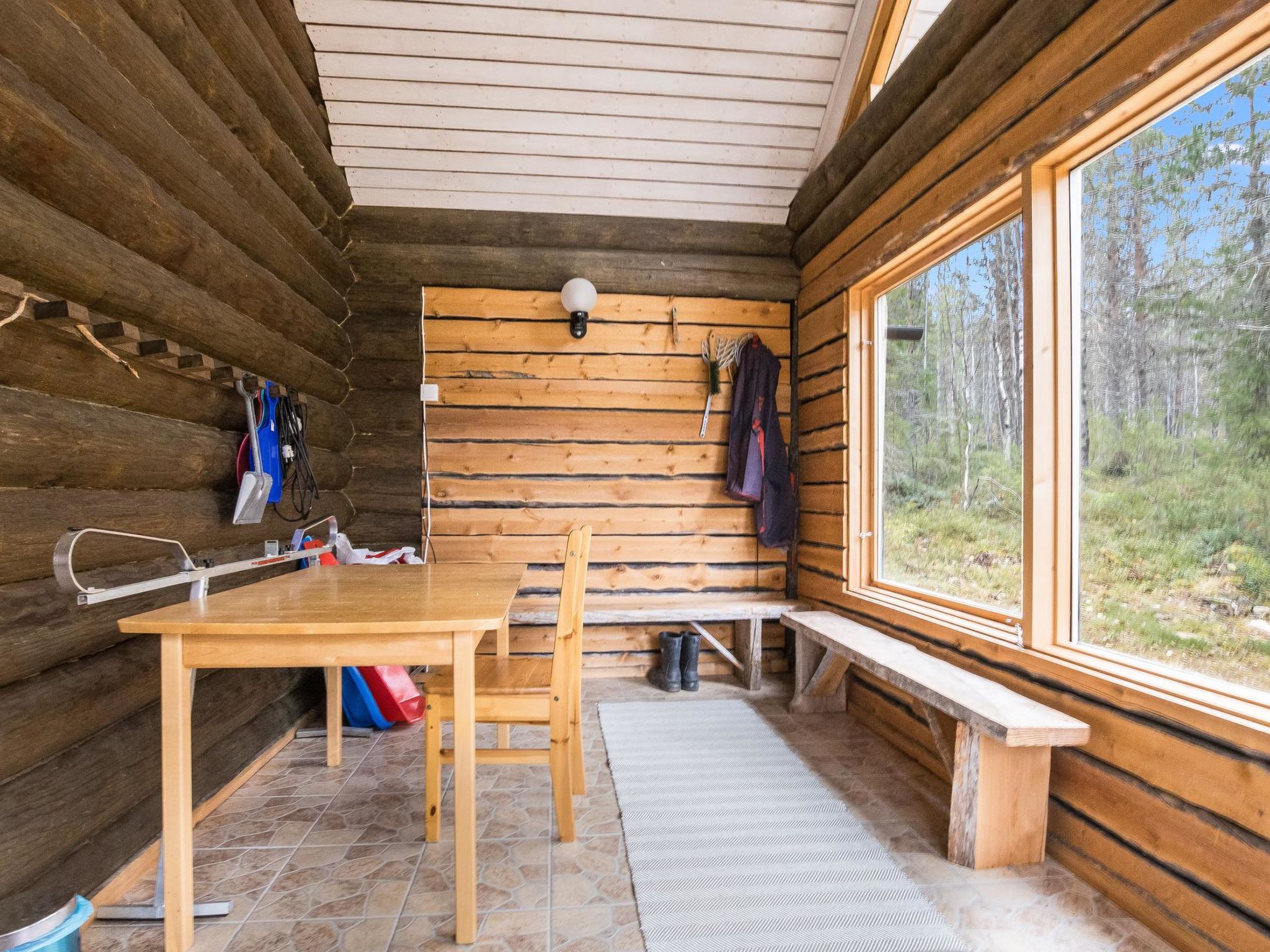 Tunturitähti, lainio-Dedans