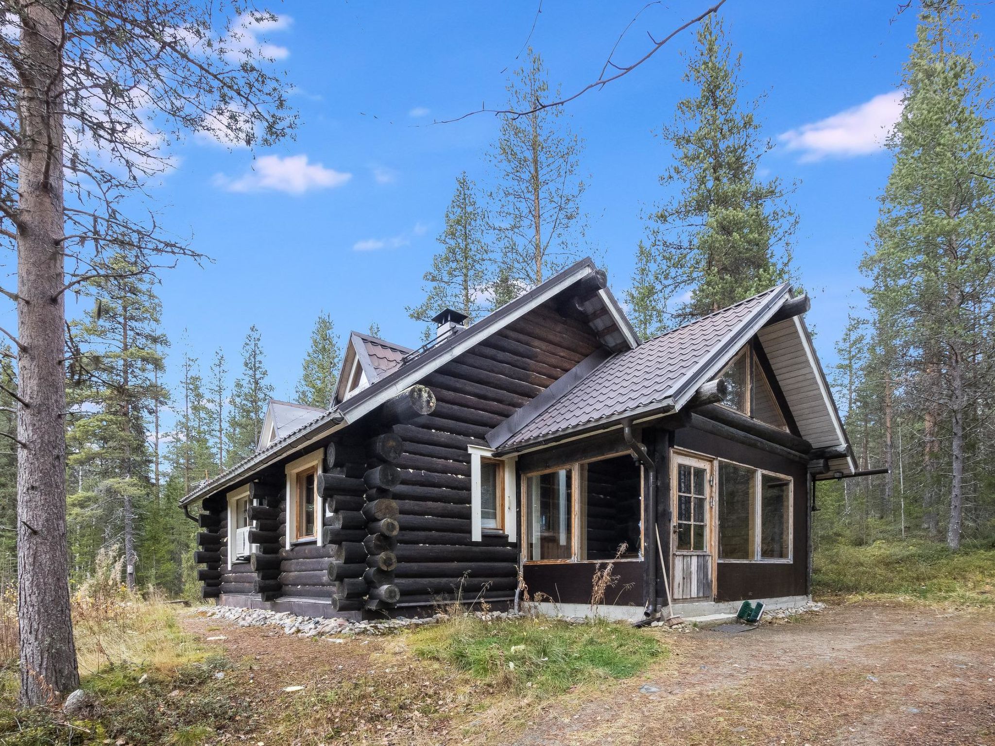 Tunturitähti, lainio-Dedans