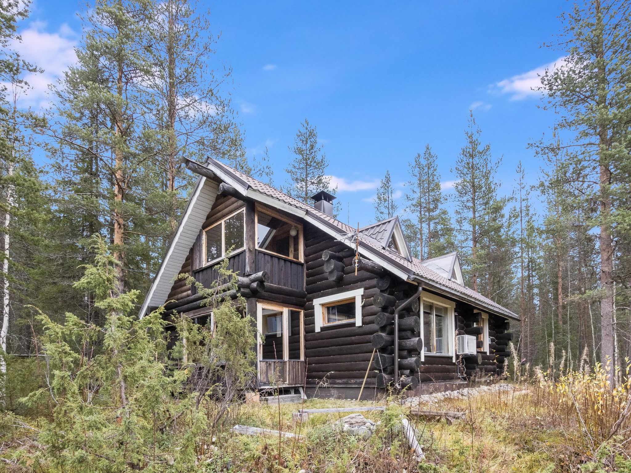 Tunturitähti, lainio-Dedans