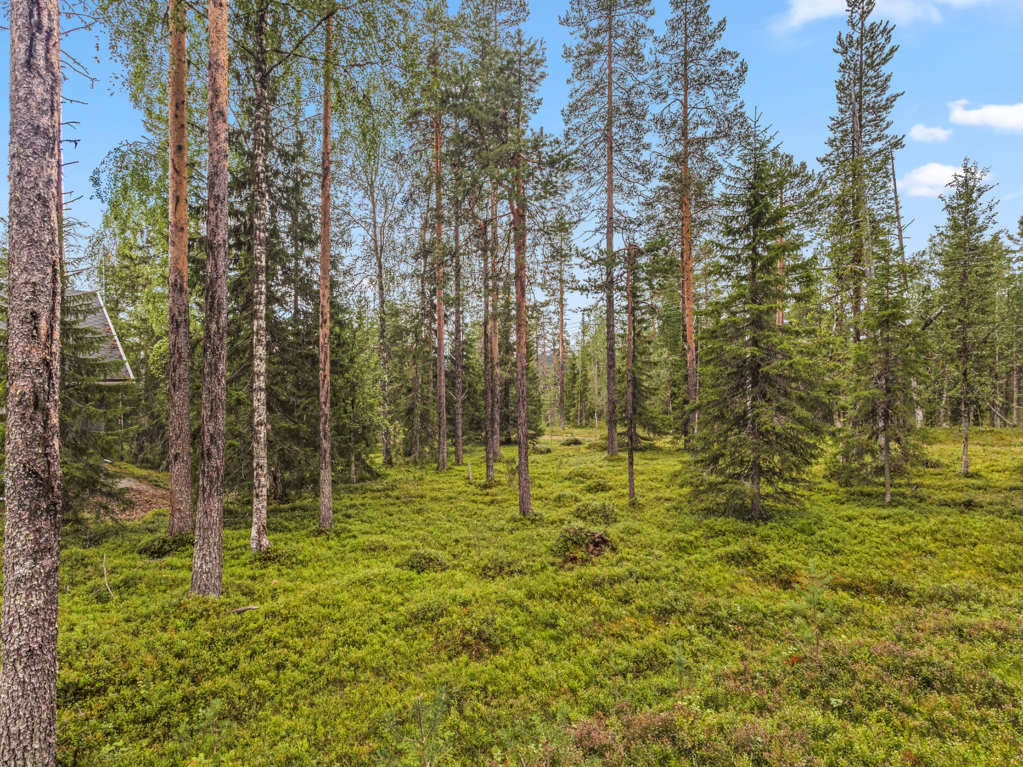 Kultapiisku 2-Dedans