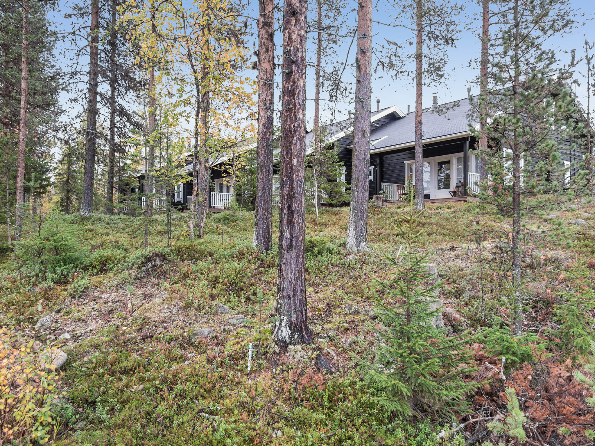 Ylläskumpu 3 / sivakka - Binnen