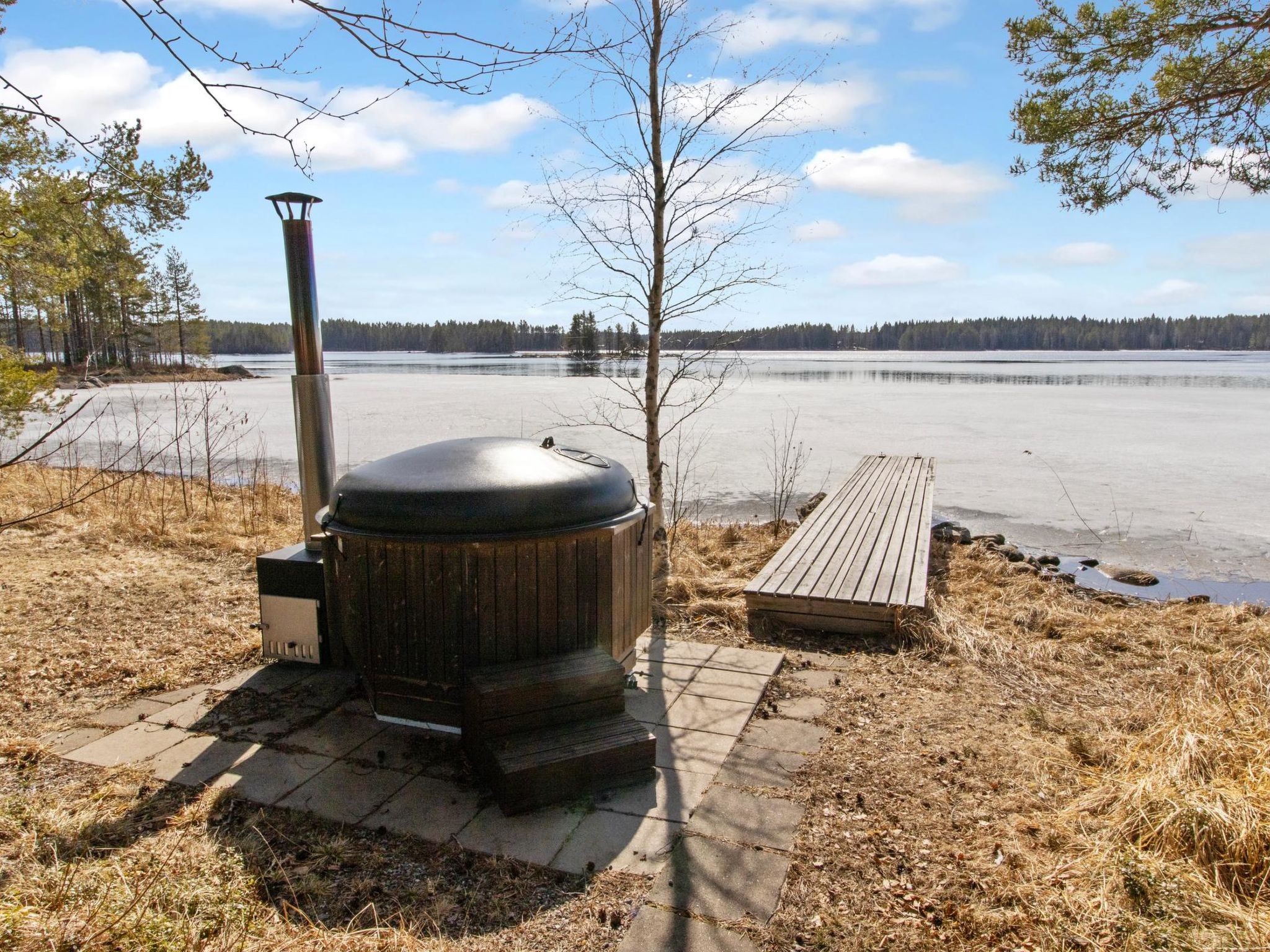 Metsäneuvos
