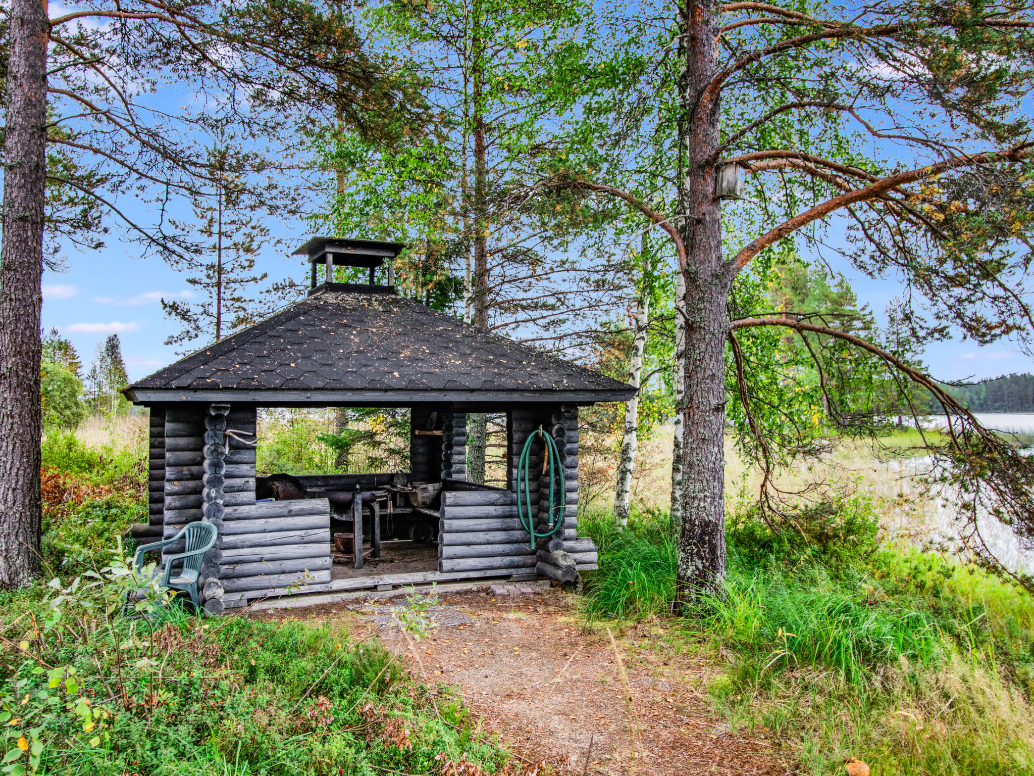 Metsäneuvos