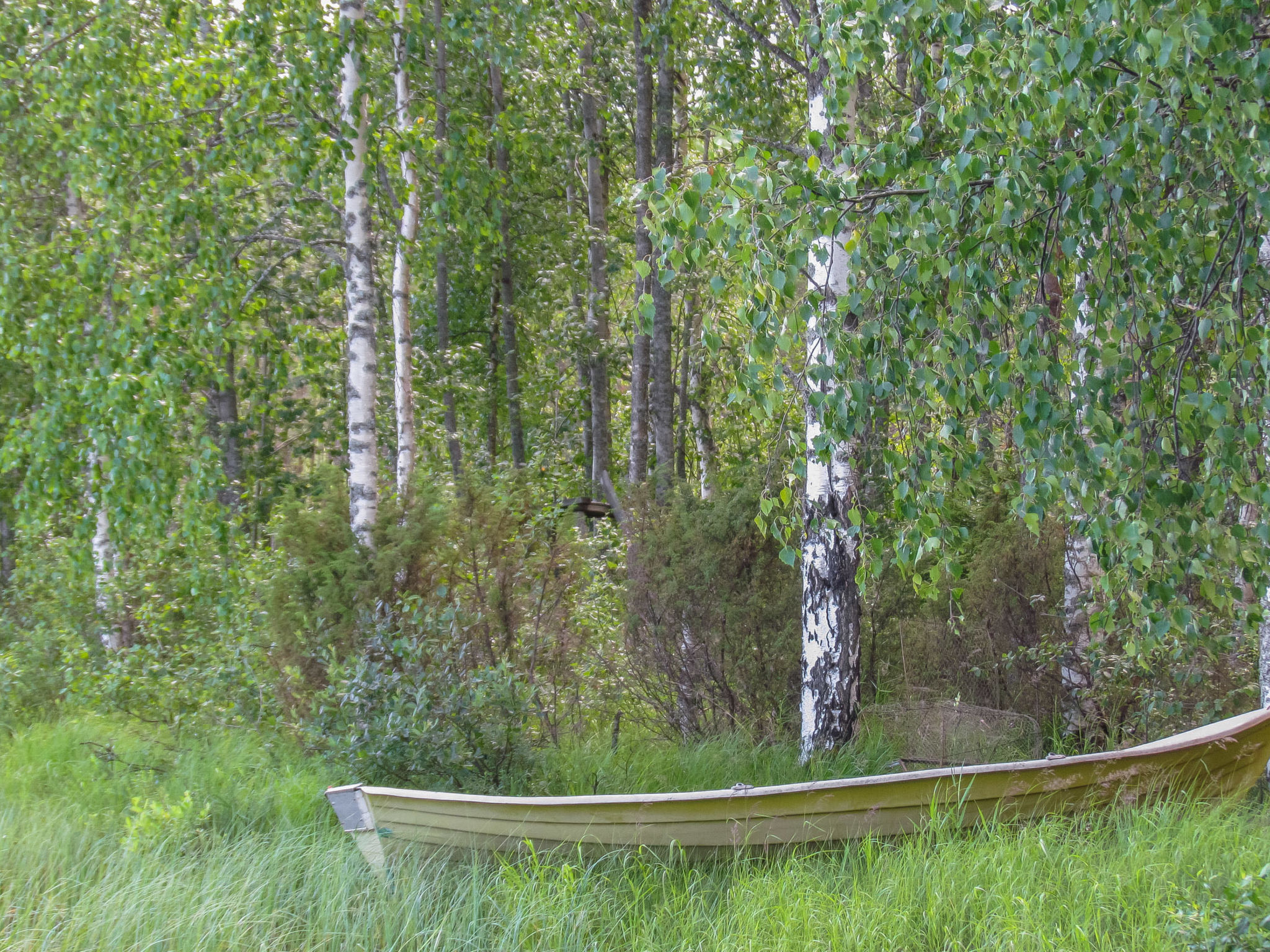 Pilkkaniemi