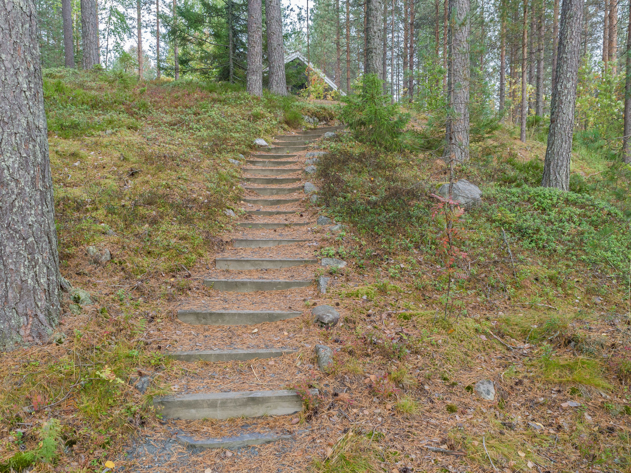 Ulpukka