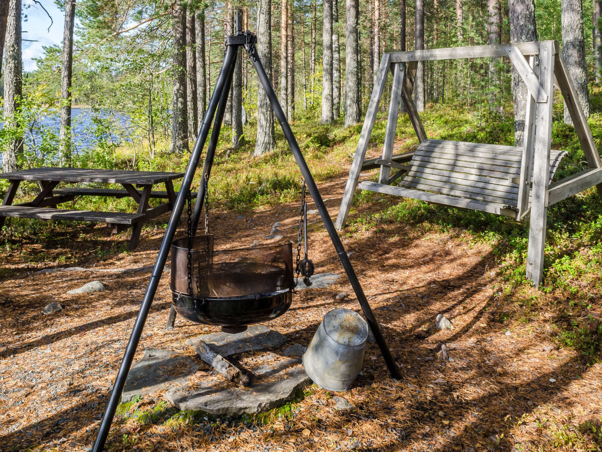 Metsätähti