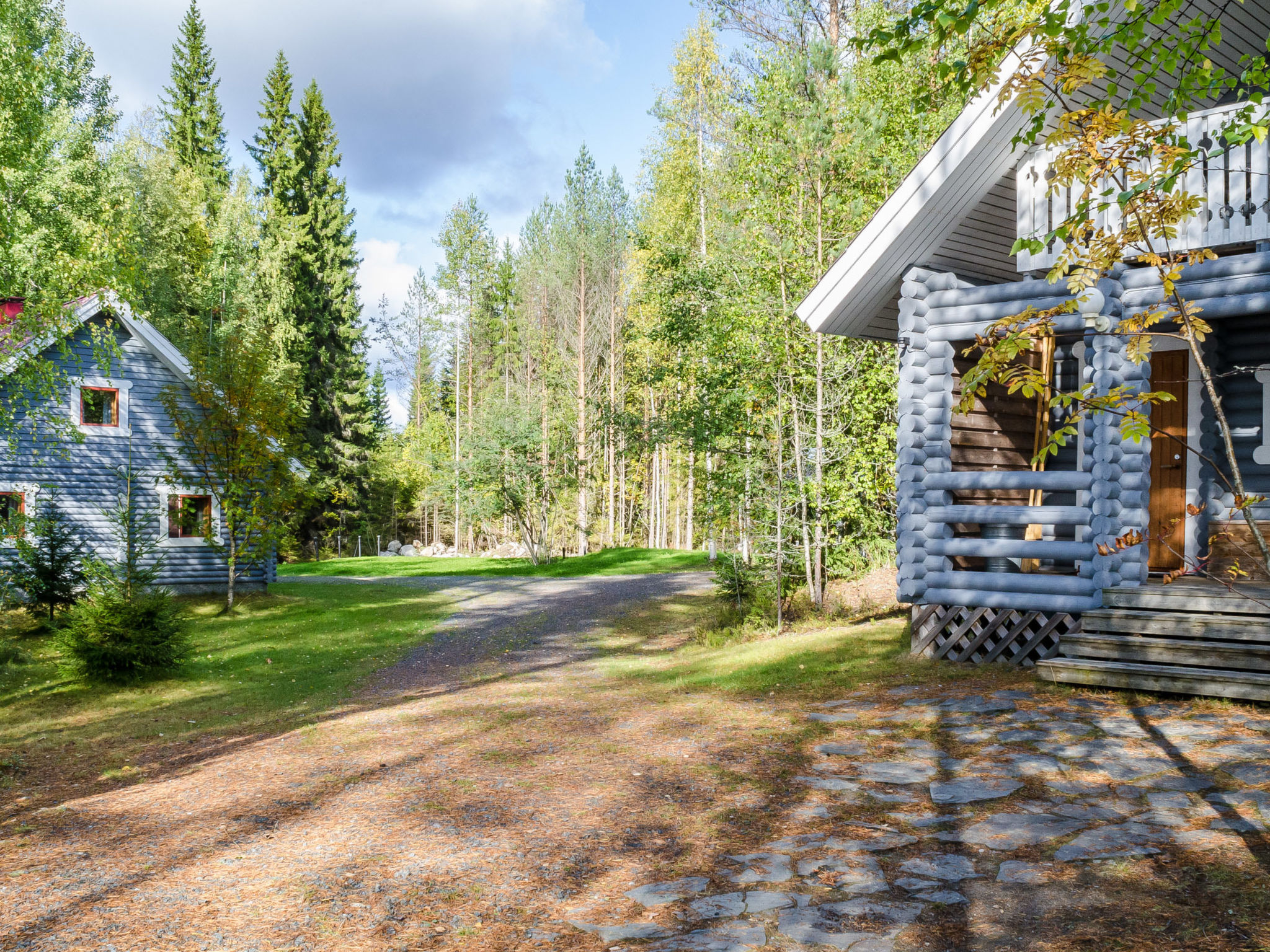 Metsätähti