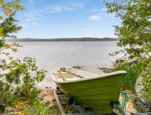 Aurinkoniemi
