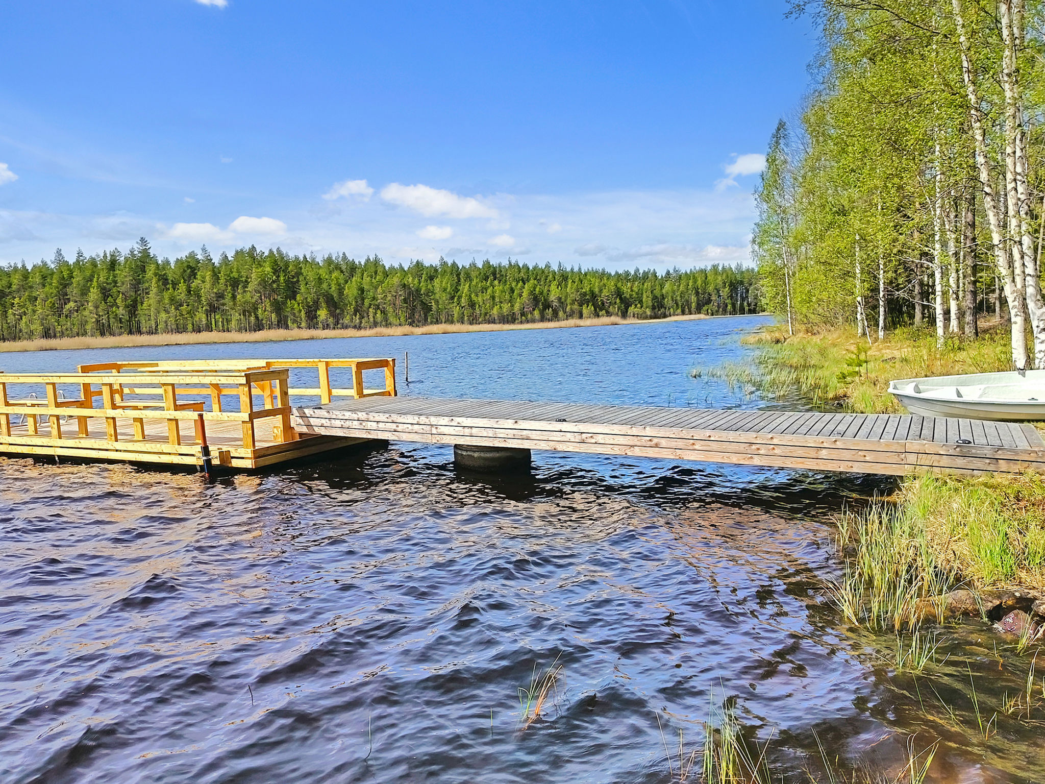 Rustieke blokhut Alapytinki aan de visrijke Pielisjoki-rivier - foto 5