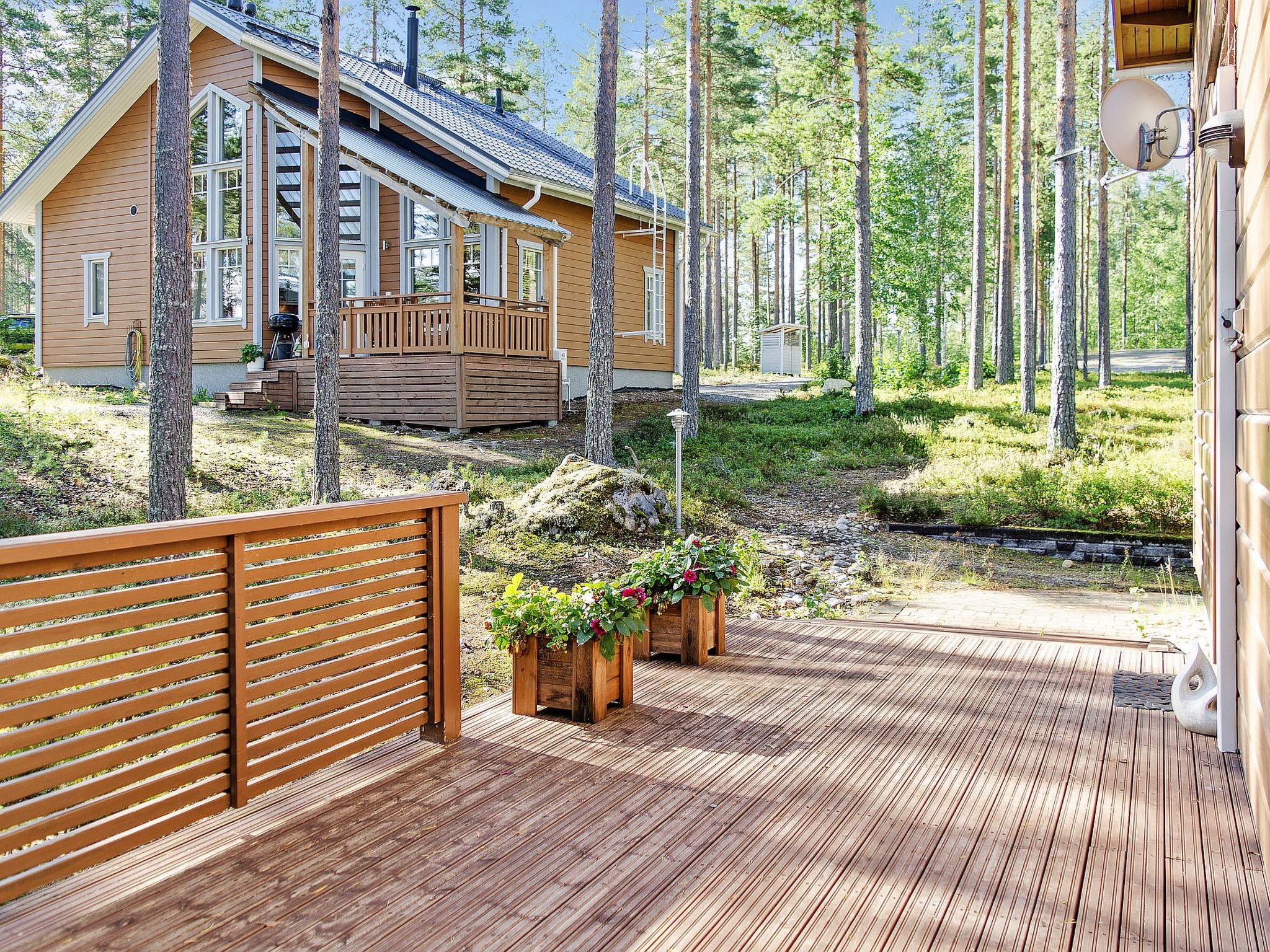 Pielislinna/loma-koli