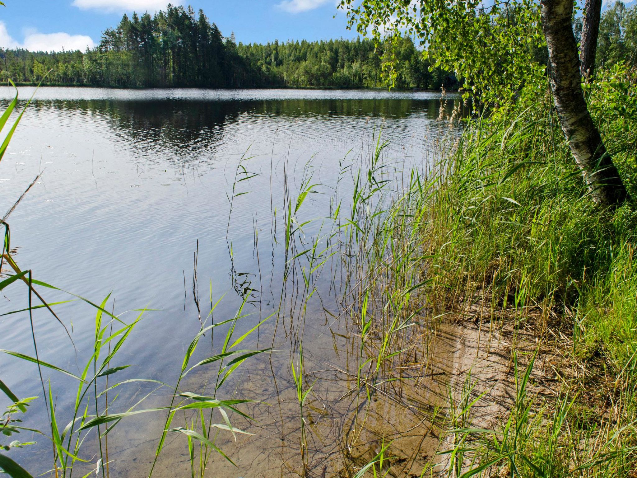 Kolin helmi 2-Binnen