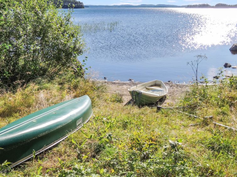 Kolin mesikämmen