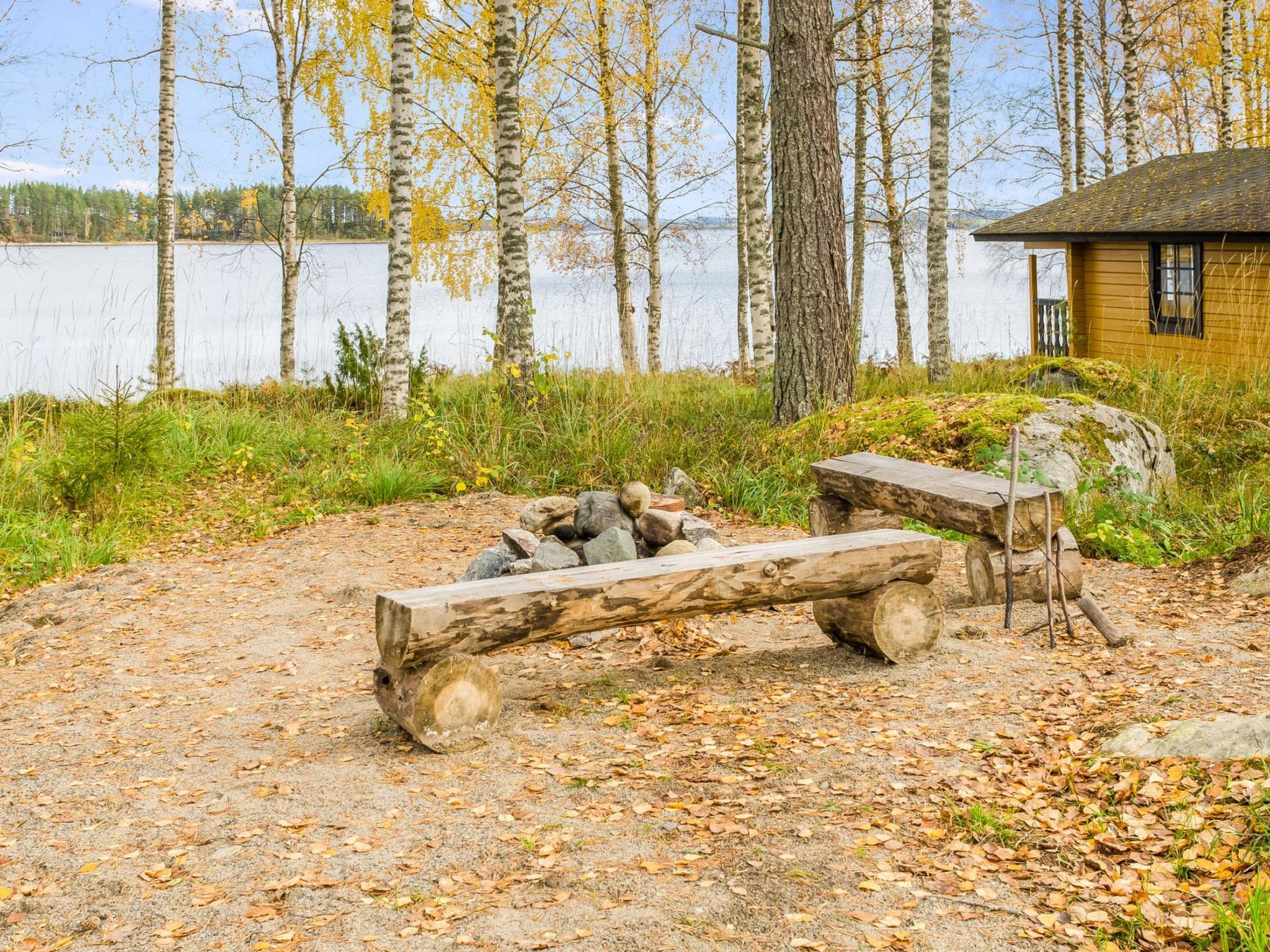 Kolin mesikämmen-Binnen