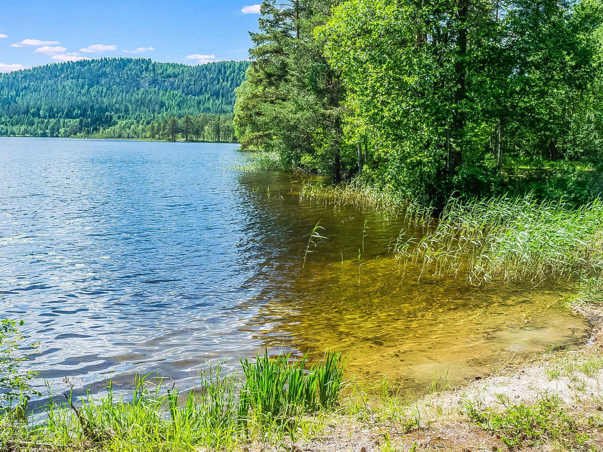 Loma-koli 1 - Binnen
