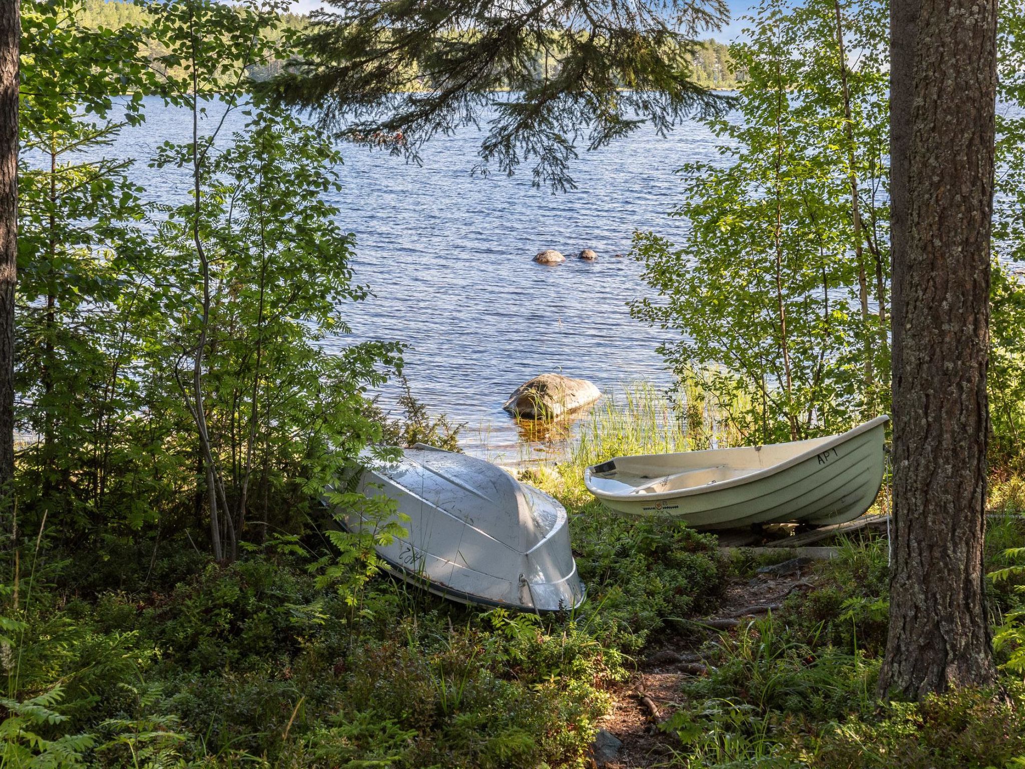 Amero purnu 1-Binnen